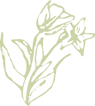 green flower symbolizing spiritual coach.