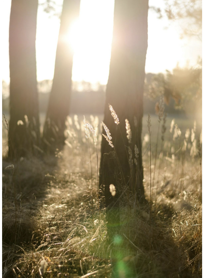 Embracing the Journey of Becoming