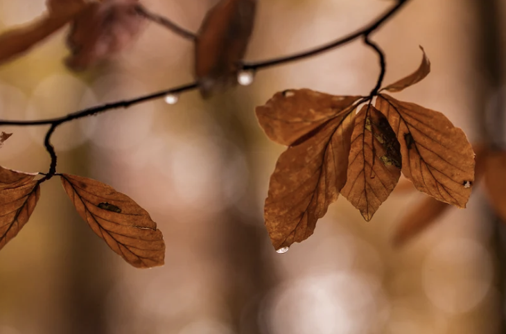 Equinox: Endings | Beginnings