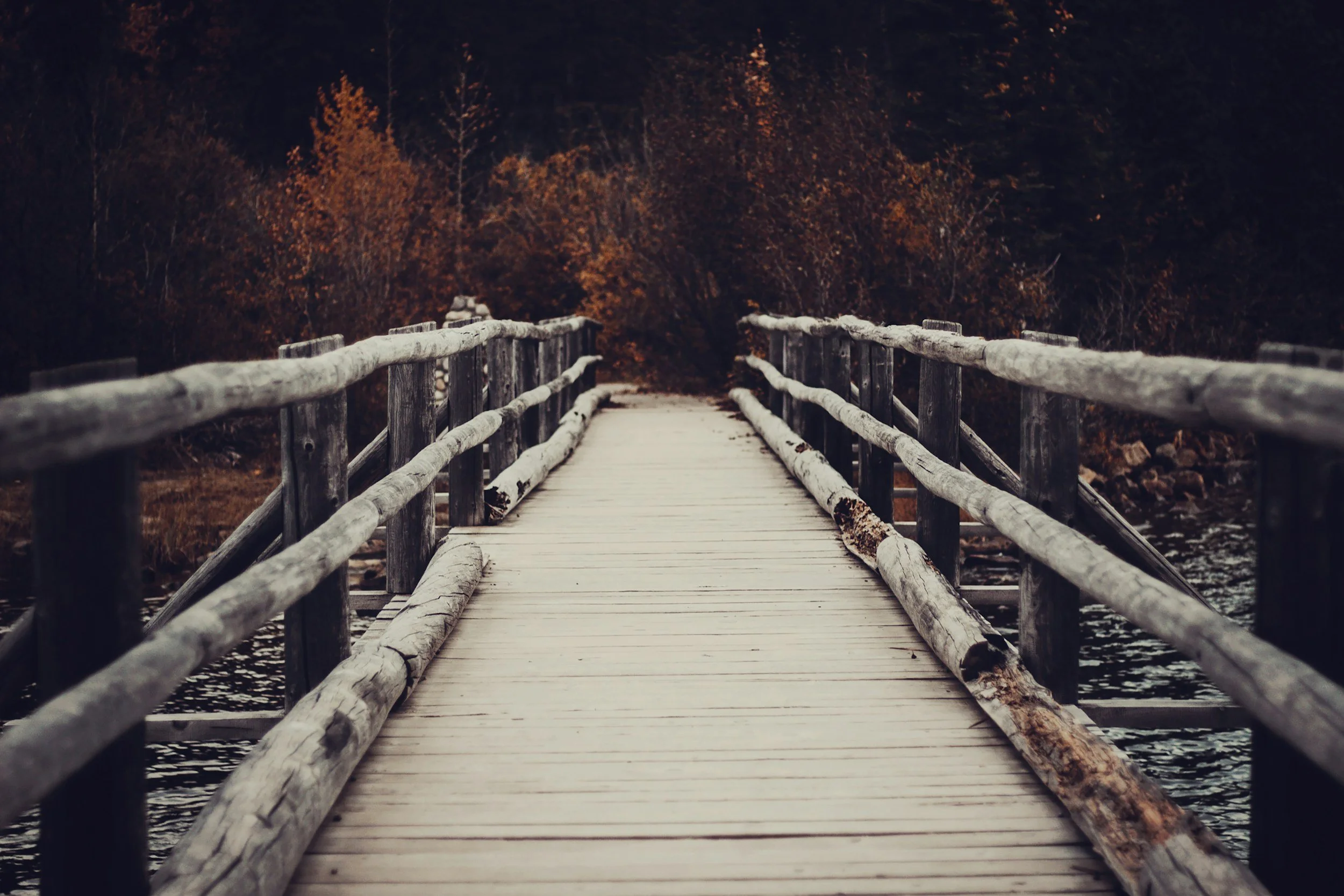 The Journey: Here to There