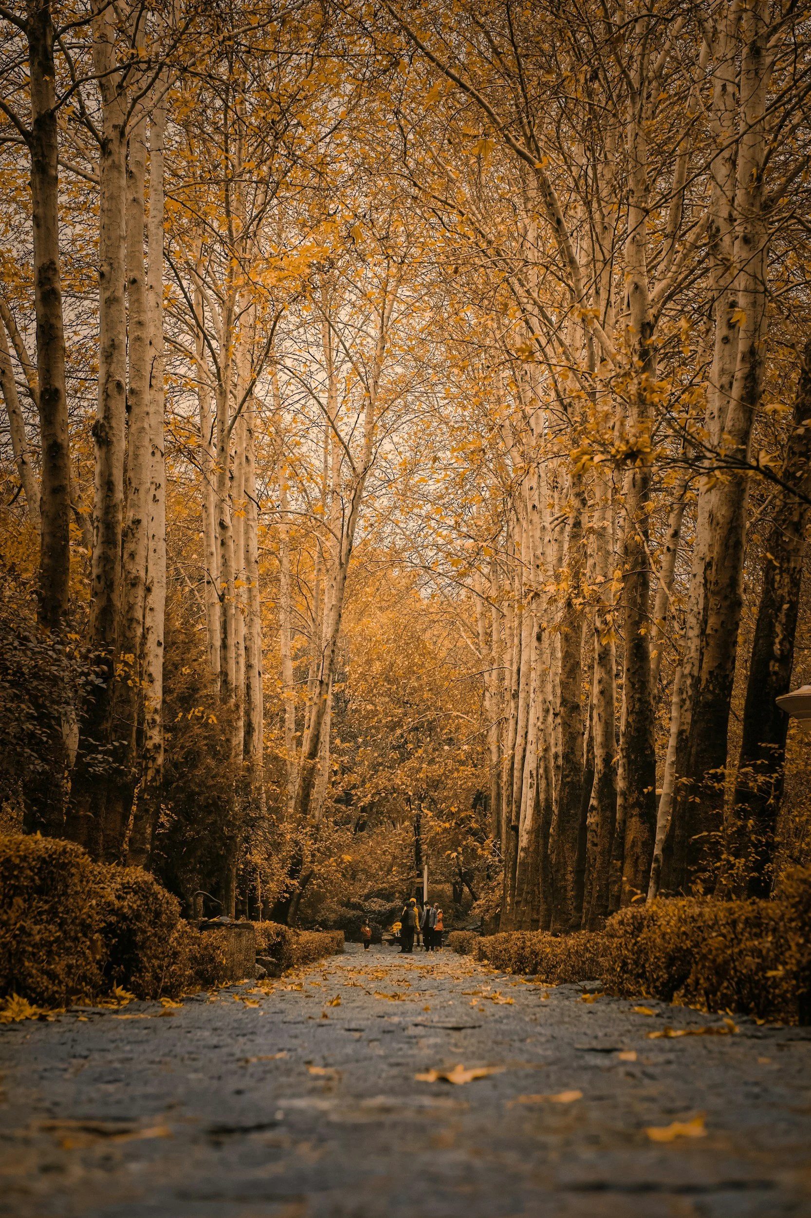 The Art of Letting Go