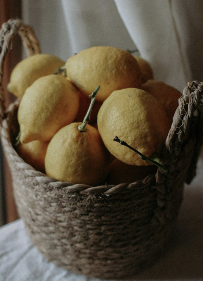 Immune Support: A Foundation in Healing
