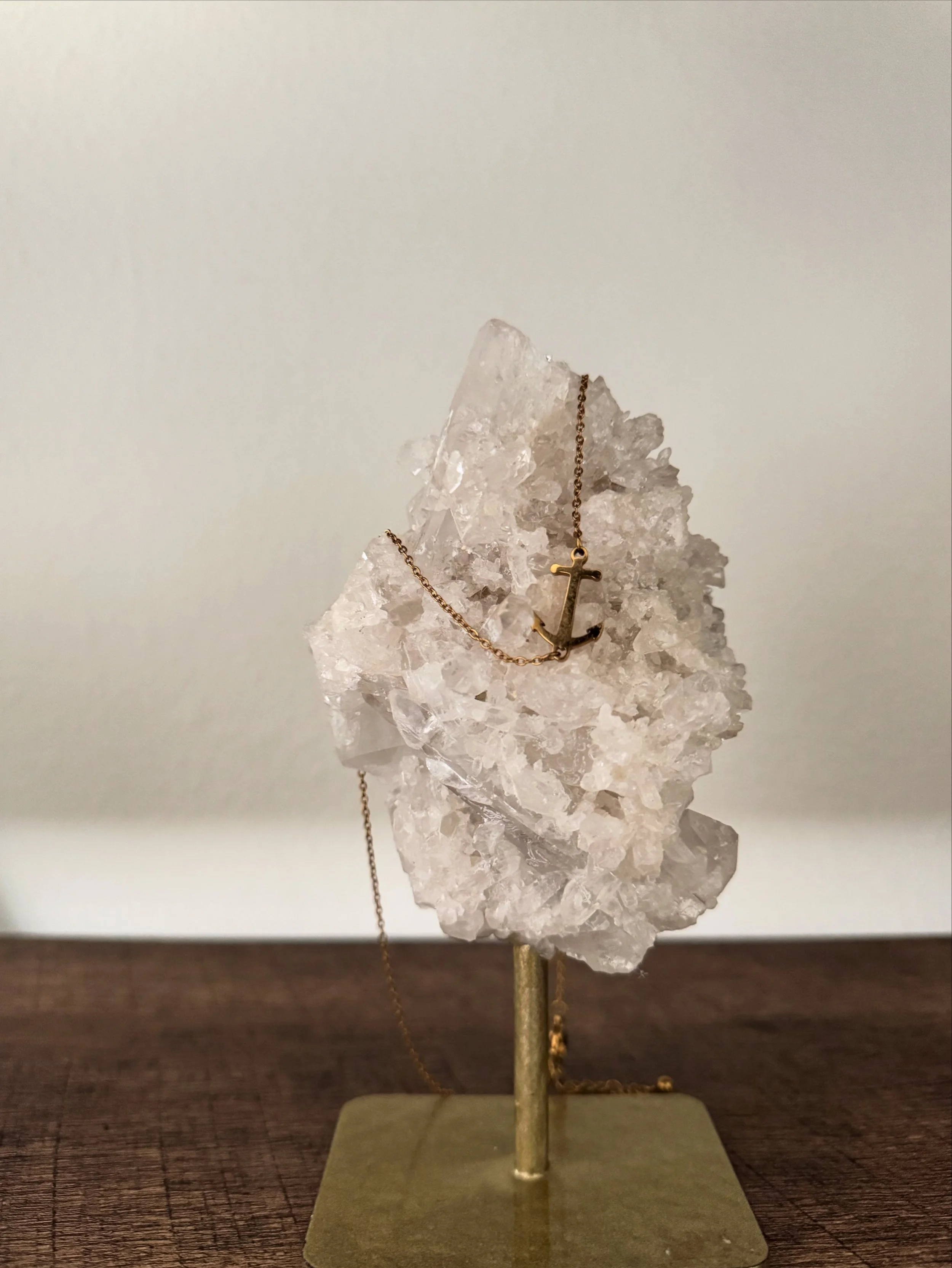 Root to Rise: Become the Anchor