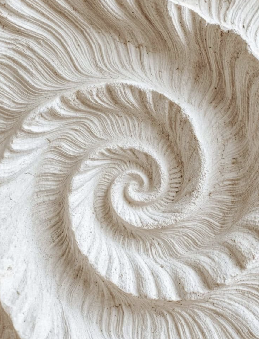 On Surrendering Control: Force, Trust, and the Sacred Spiral
