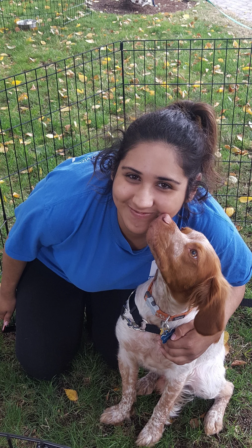 ProgramEmployment — HomePlate Youth Services