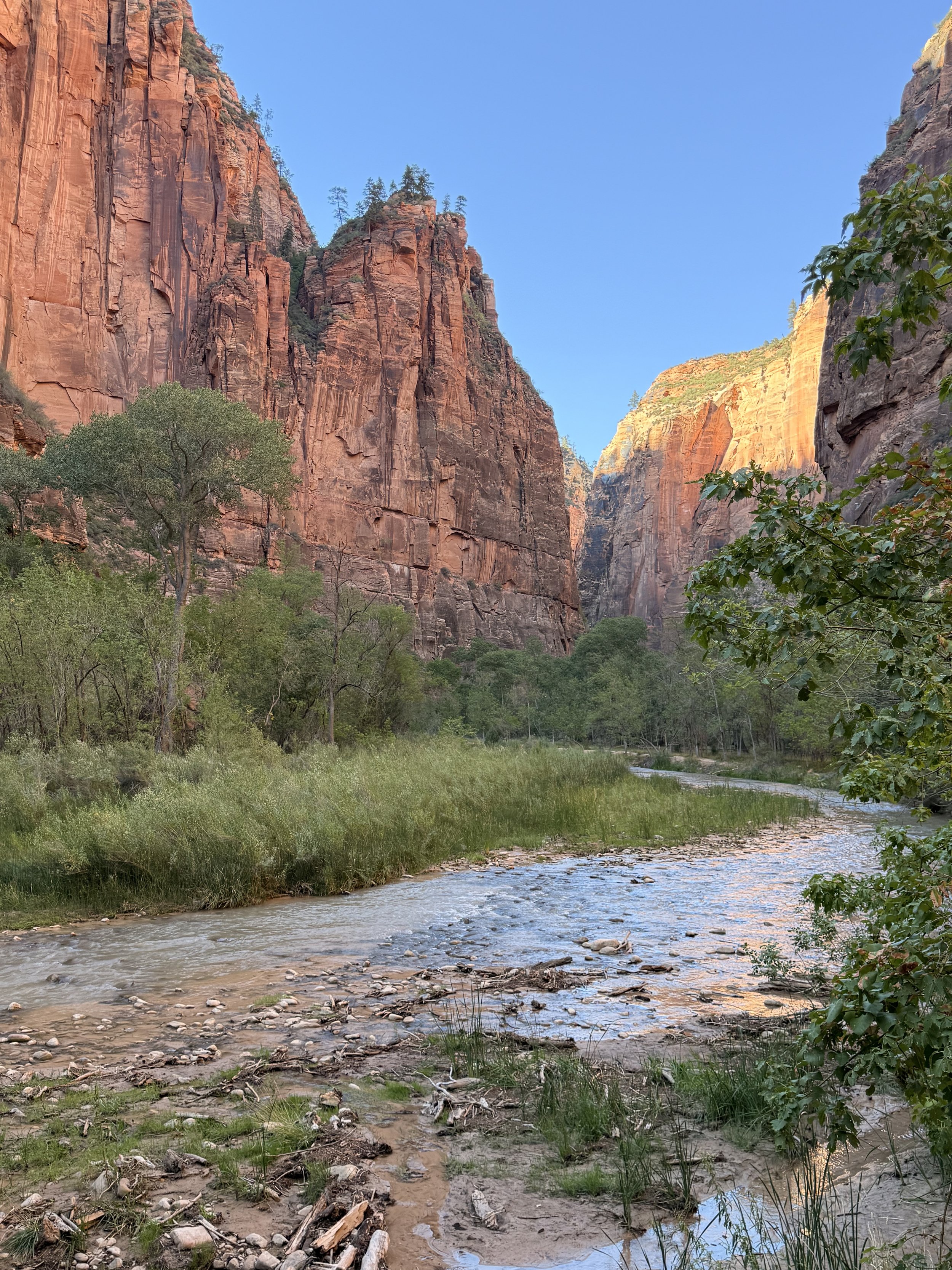 The Virgin River, Zion