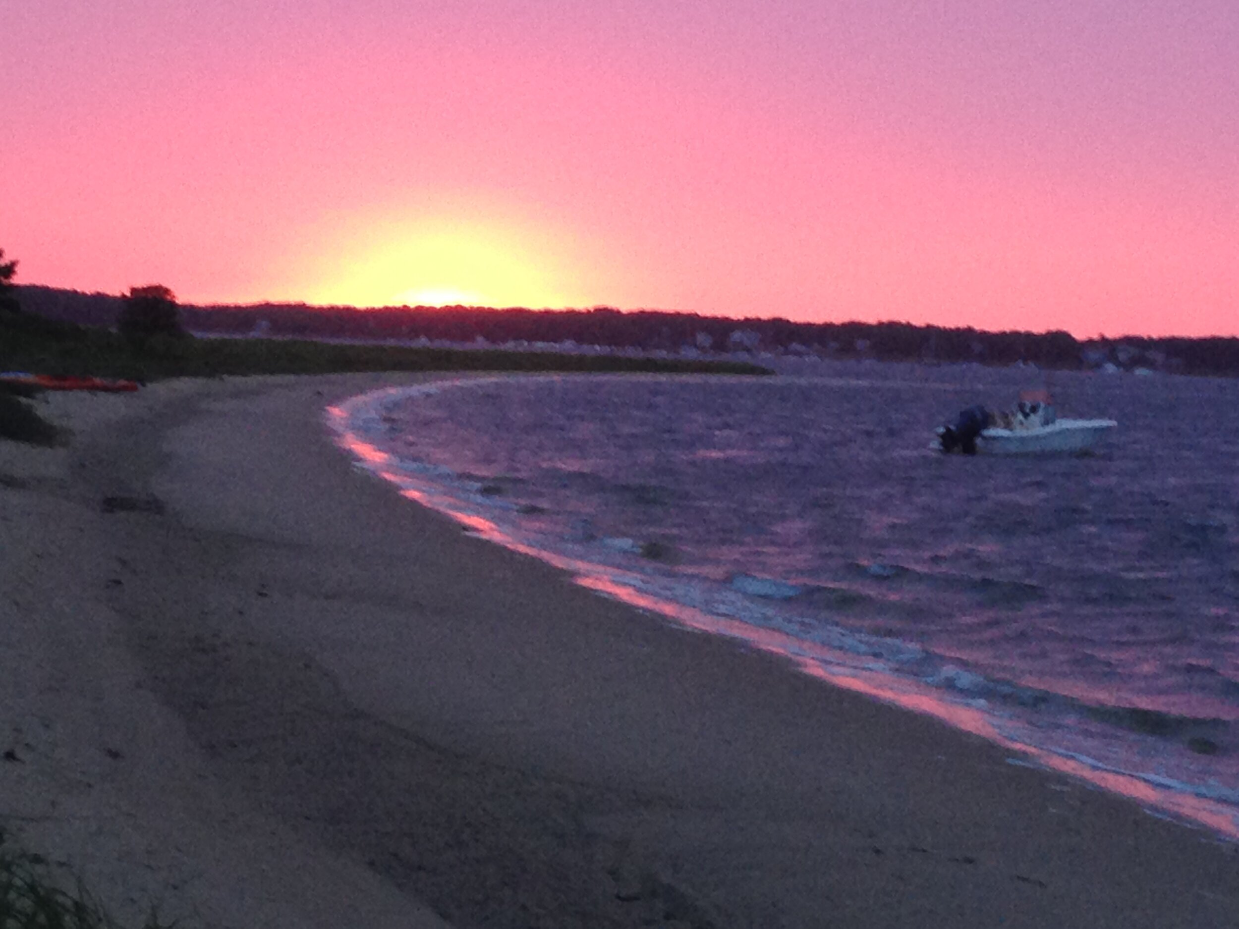 The Pink Lip Washburn Island Cape Cod MA
