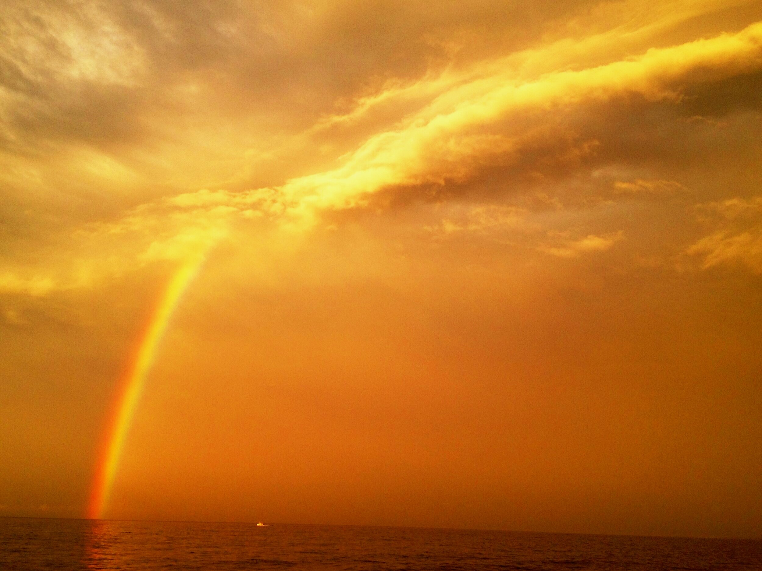 God's Paint Brush