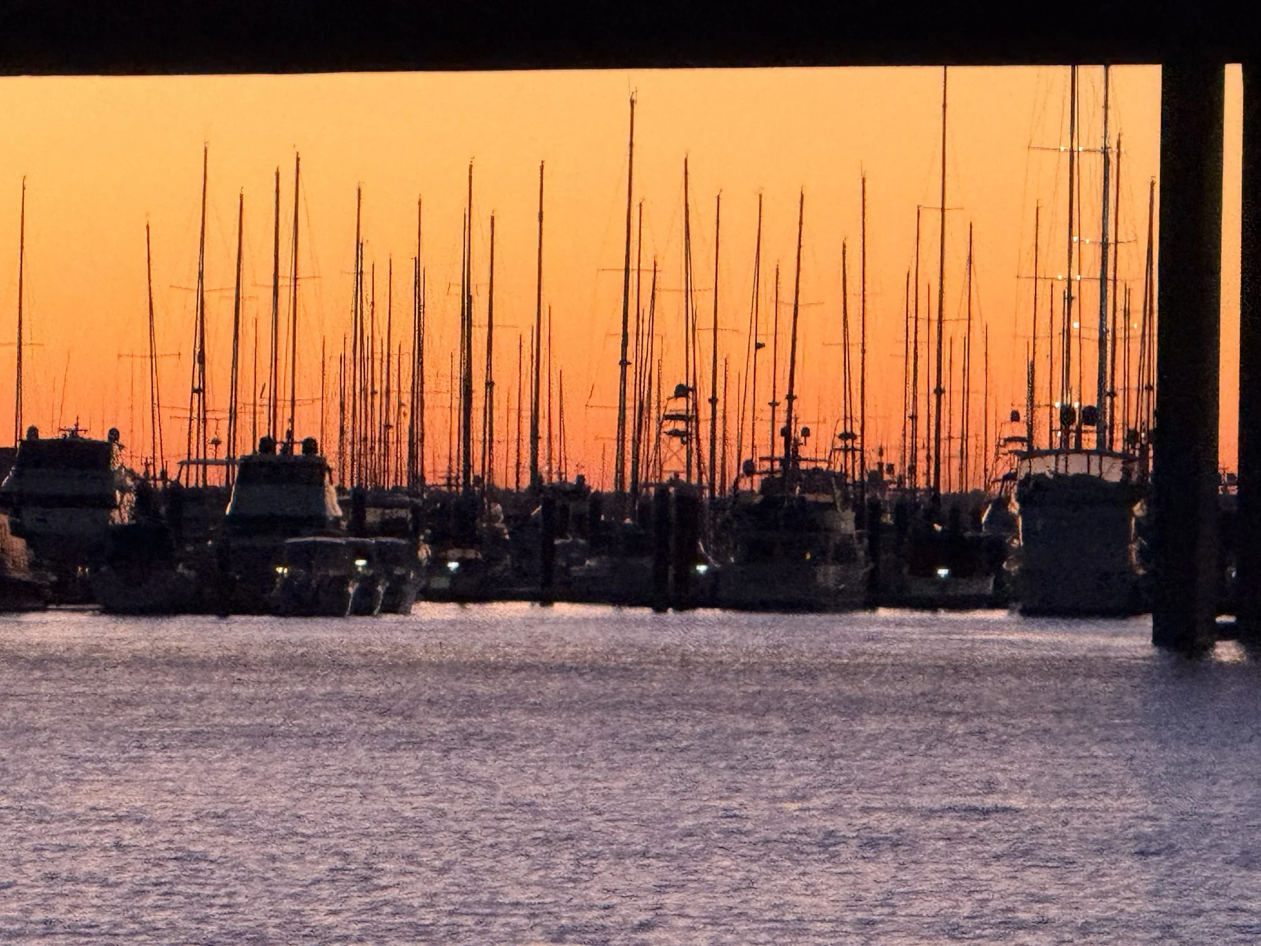 You're My Safe Harbor