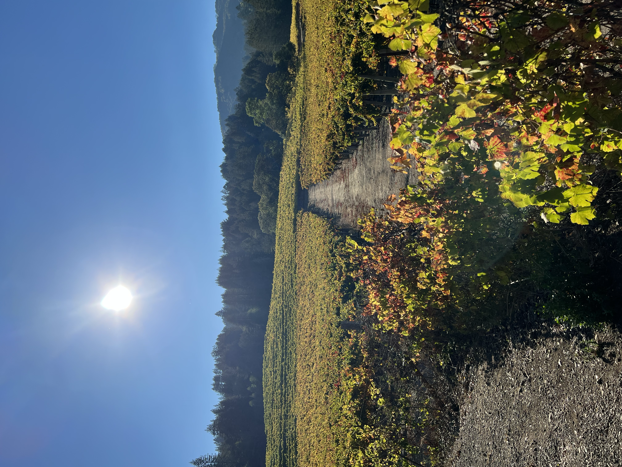 Glen Ellen Jack London Estate