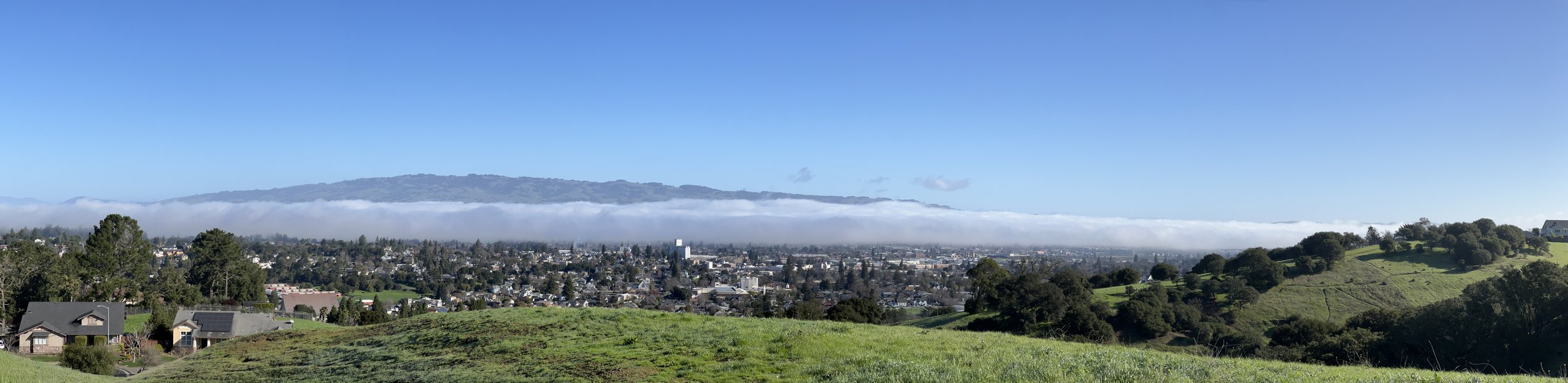 Petaluma Sky Line
