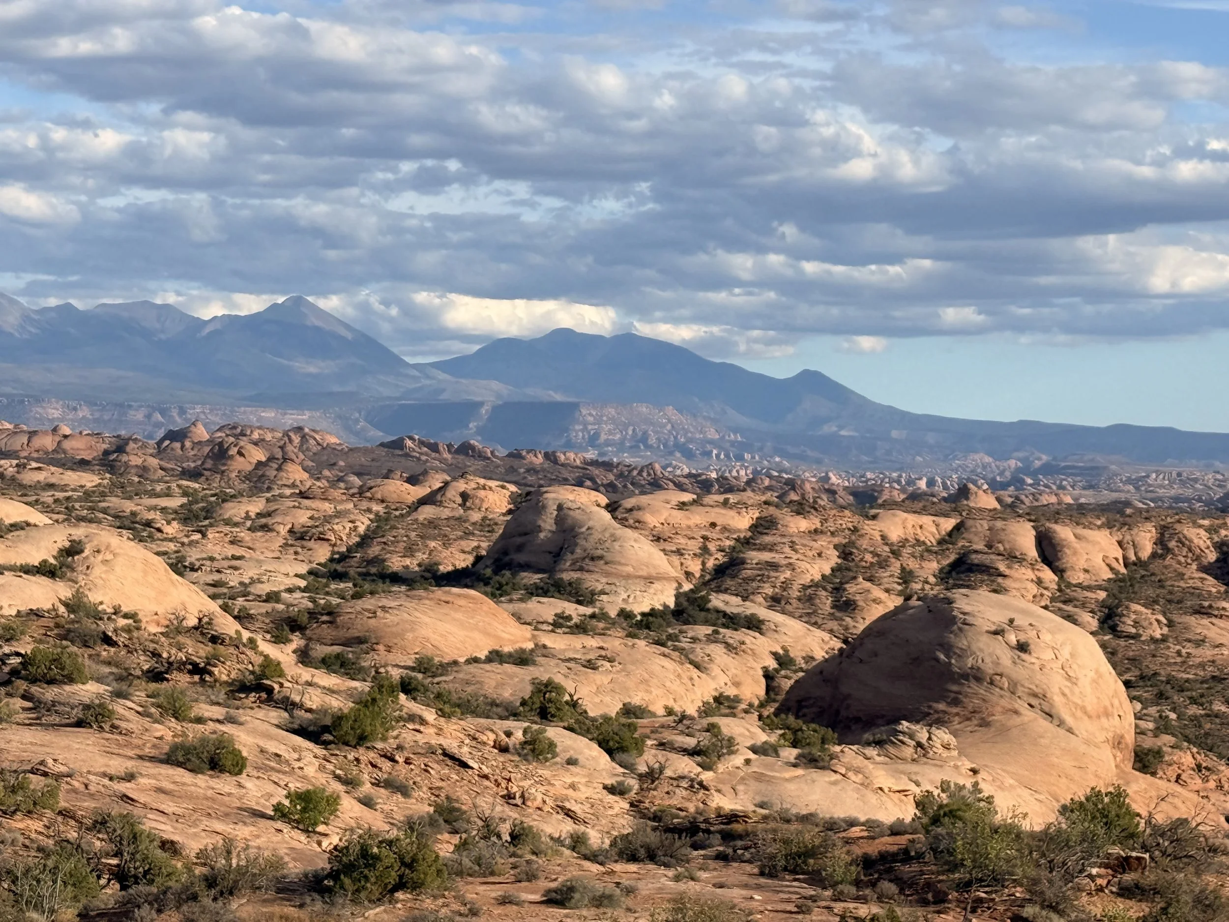 Petrified Dunes, Utah