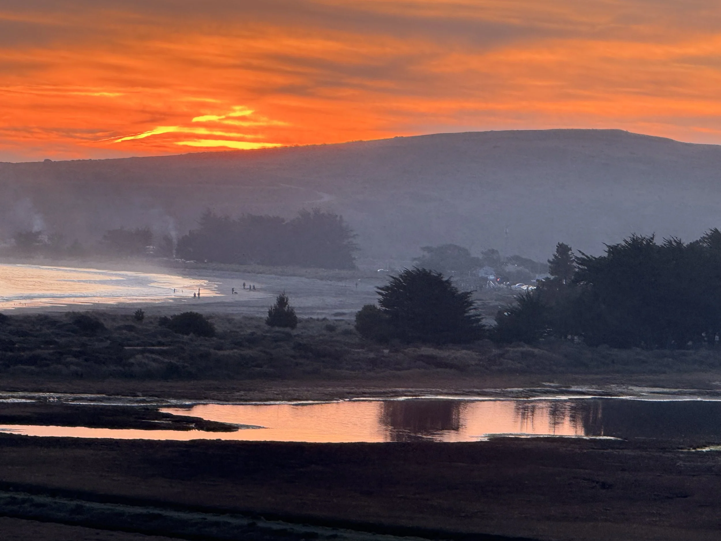 Dorin Beach, Bodega Bay, CA. 2025