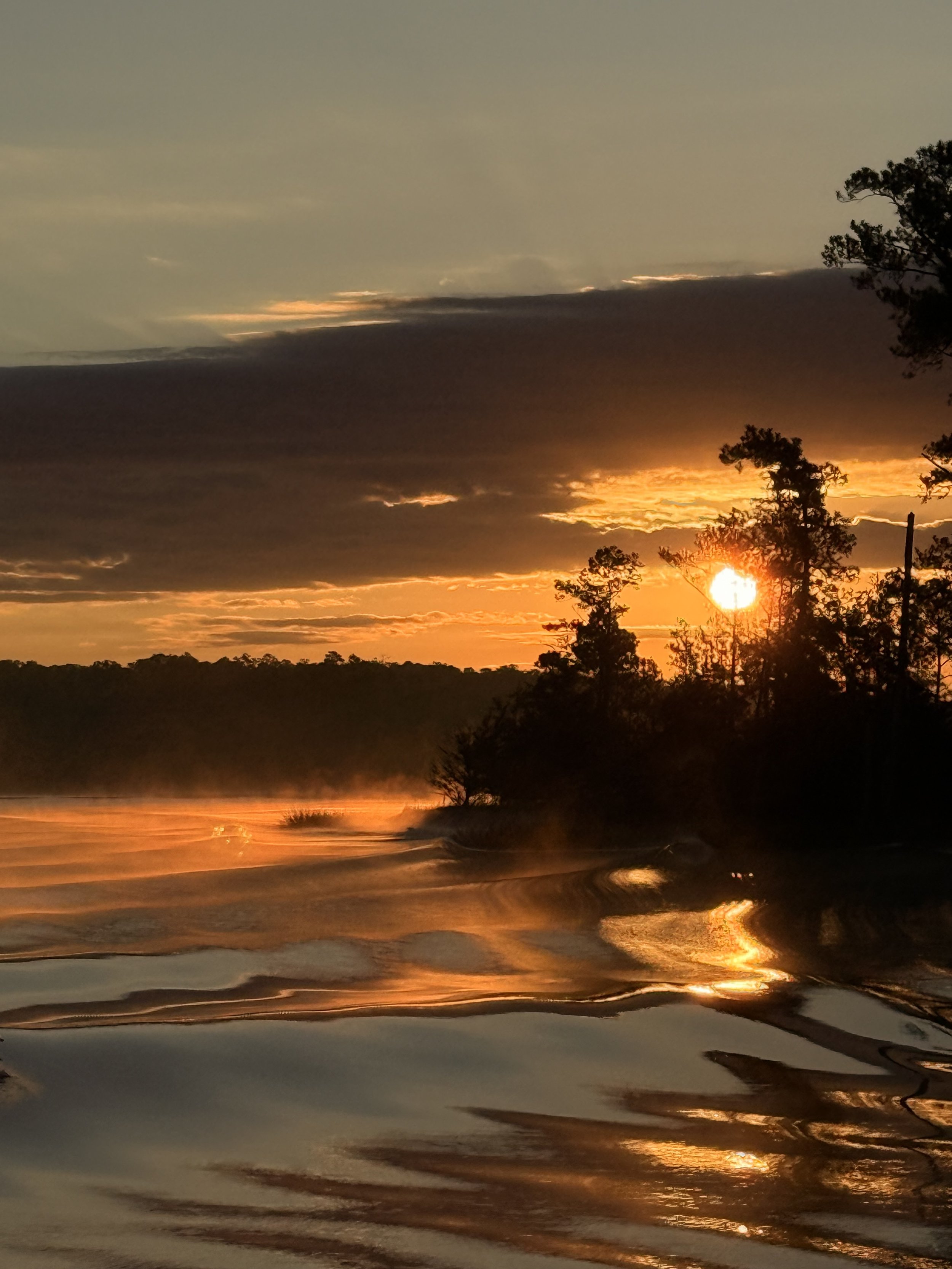 The Silk Wave, NC 2025