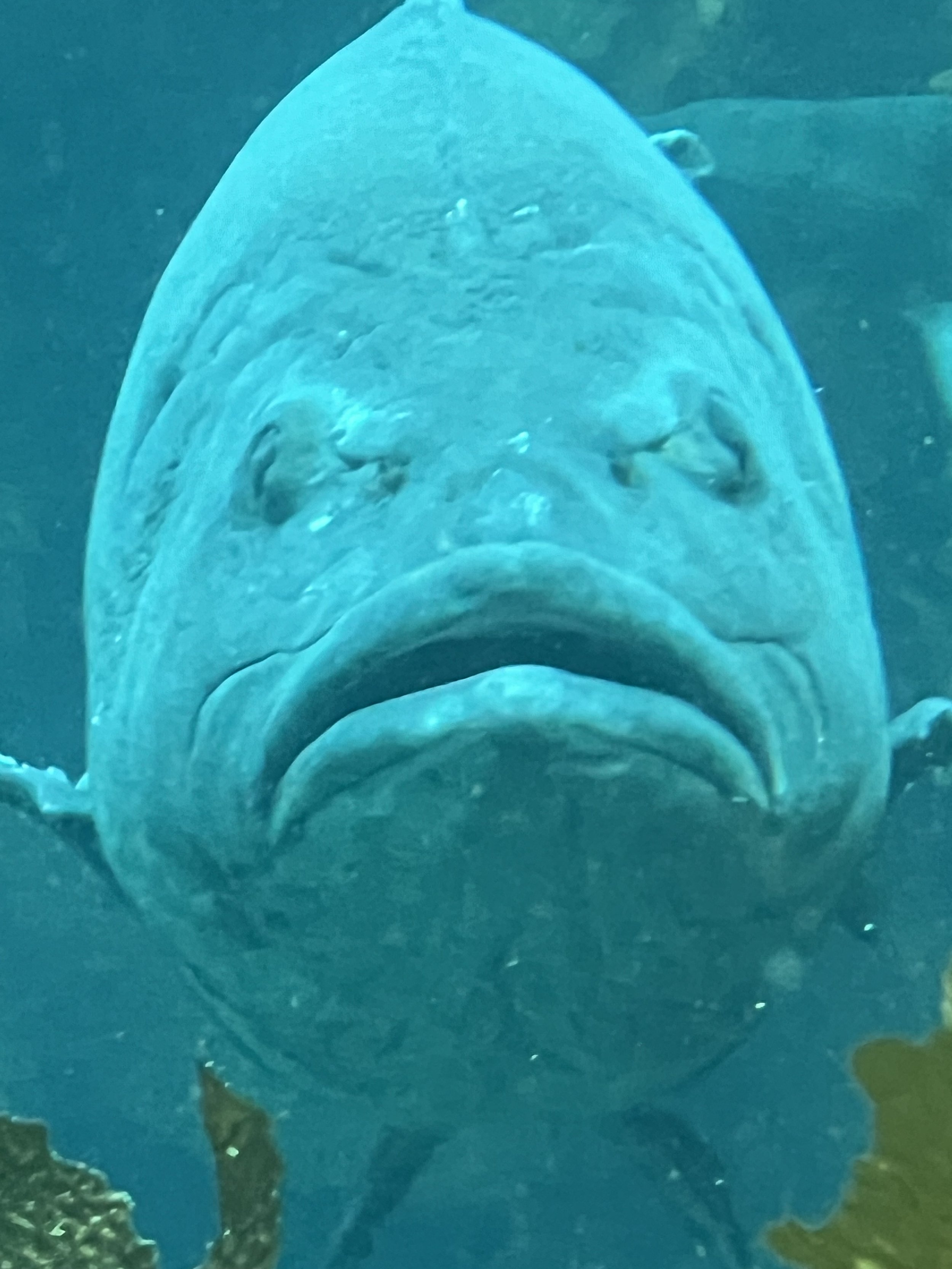 That Face