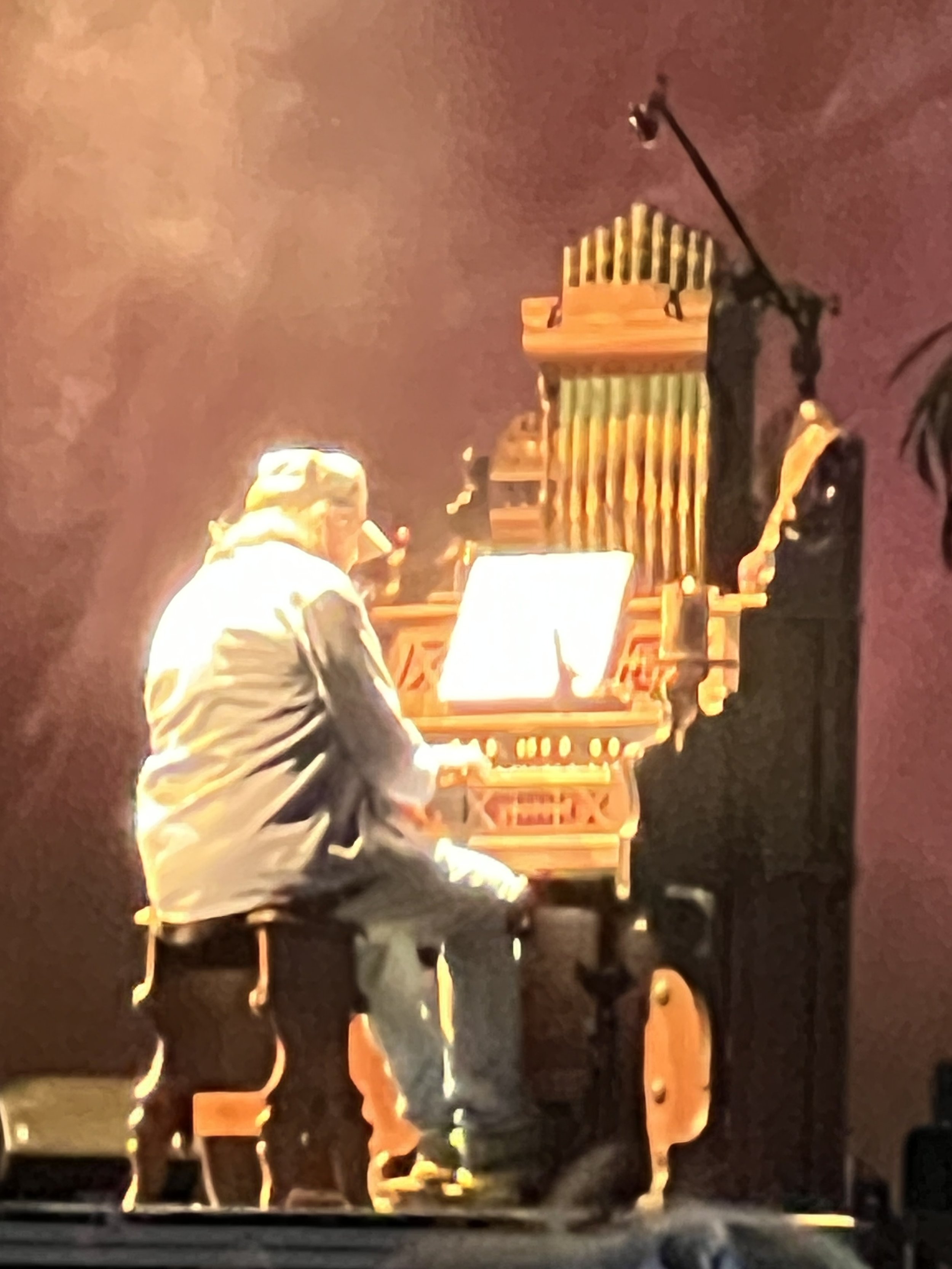 Neil Young at his Organ Napa 23