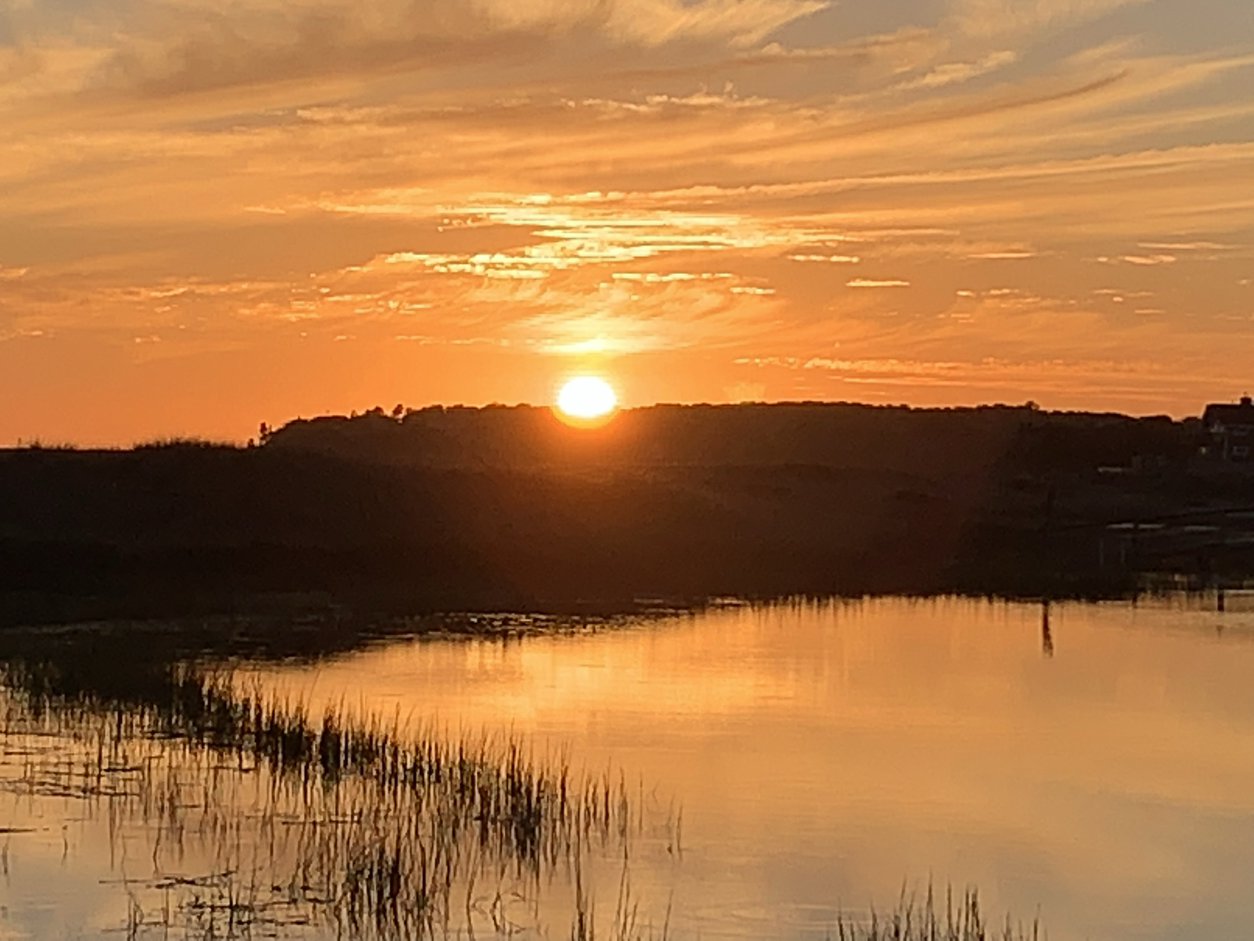 The Marsh