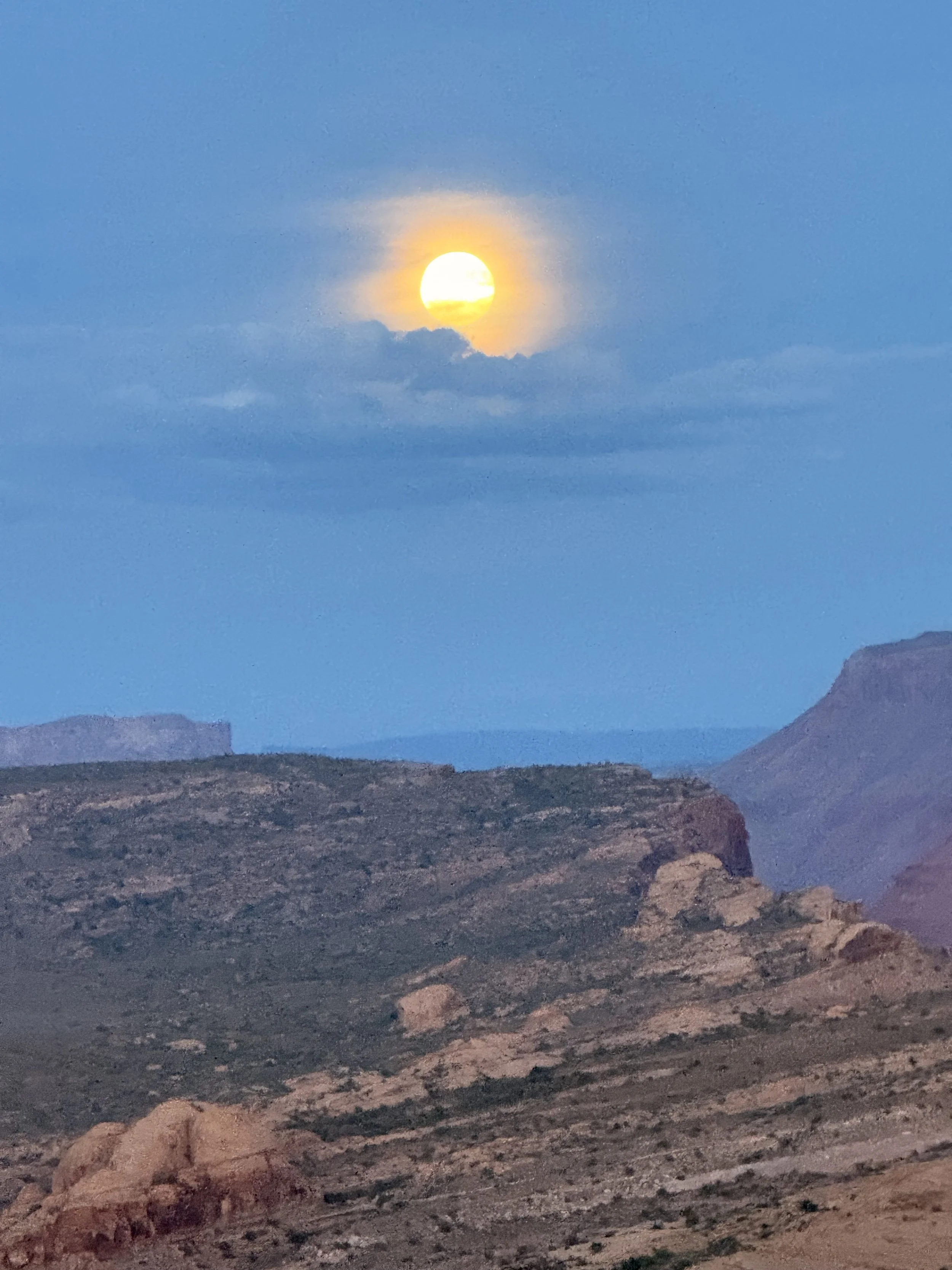 Moonlit Desert Serenity Canvas Print