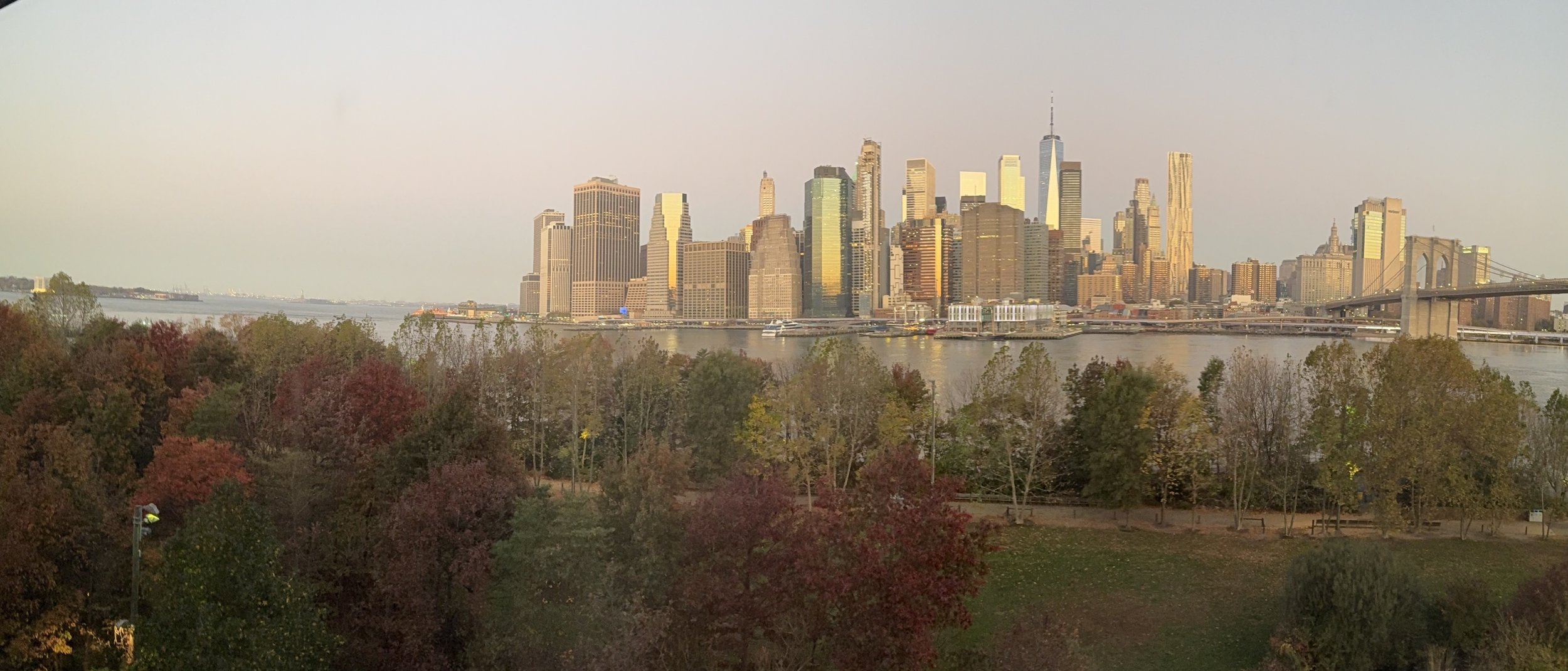 NYC Morning