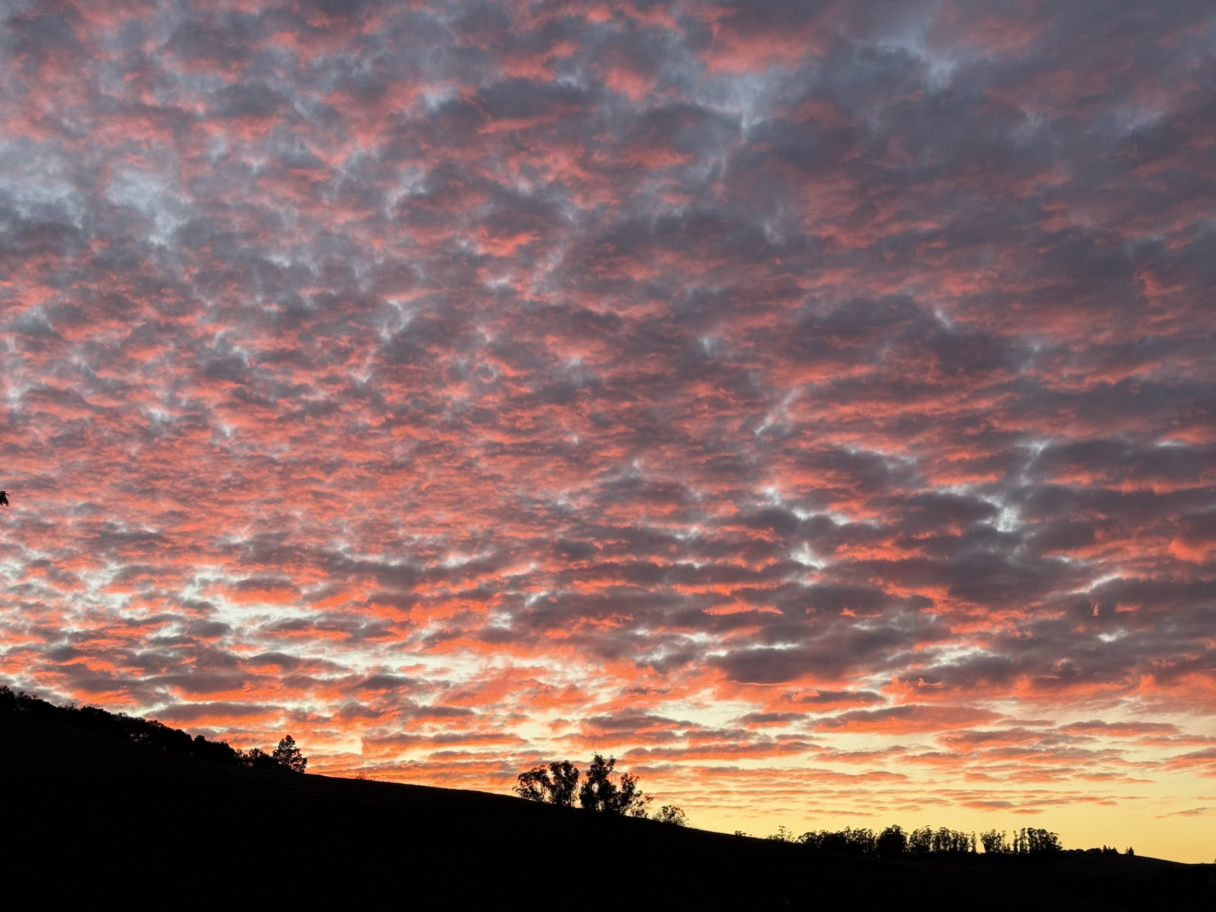 Cloud Cover