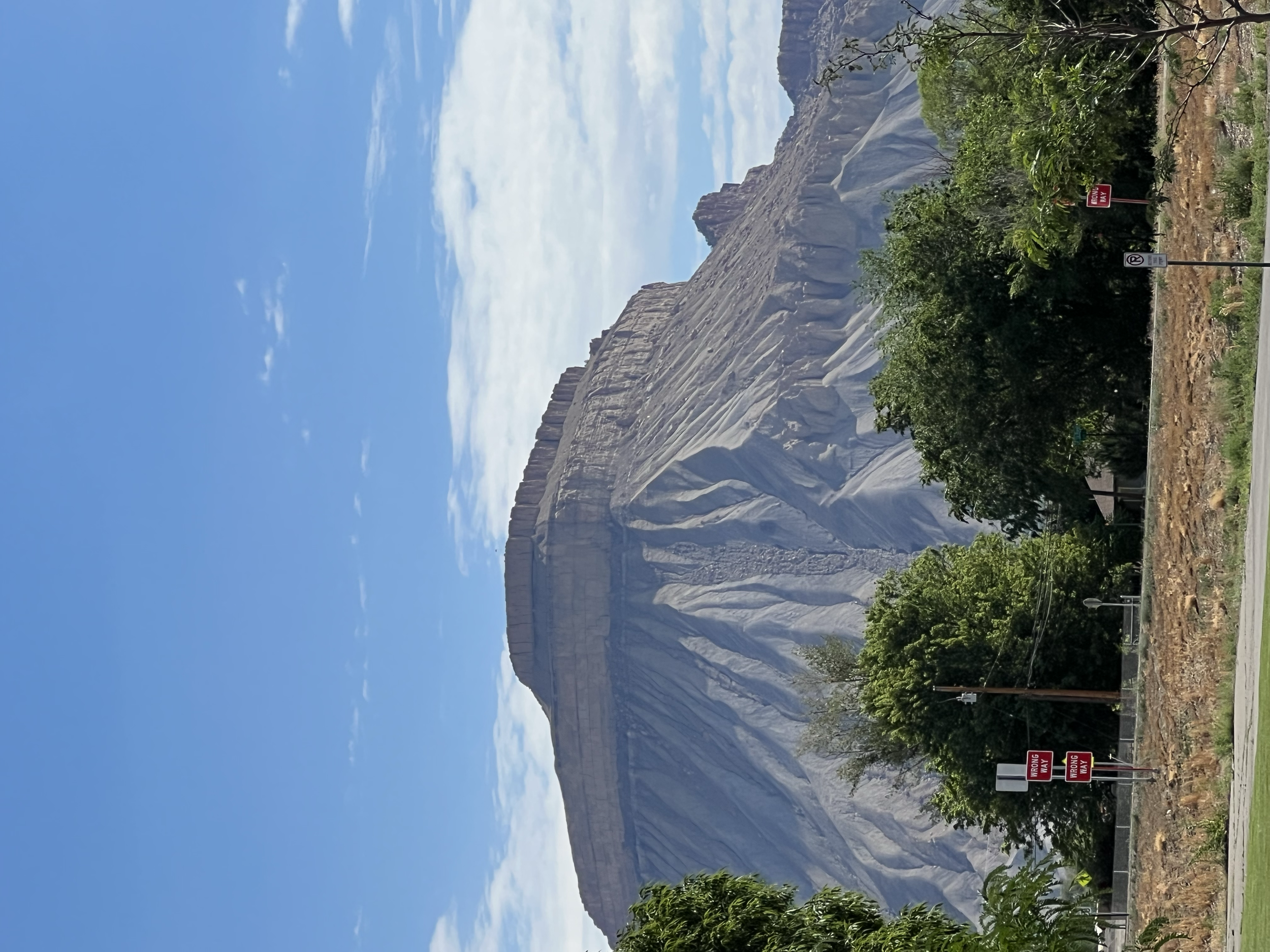 The Bluff
