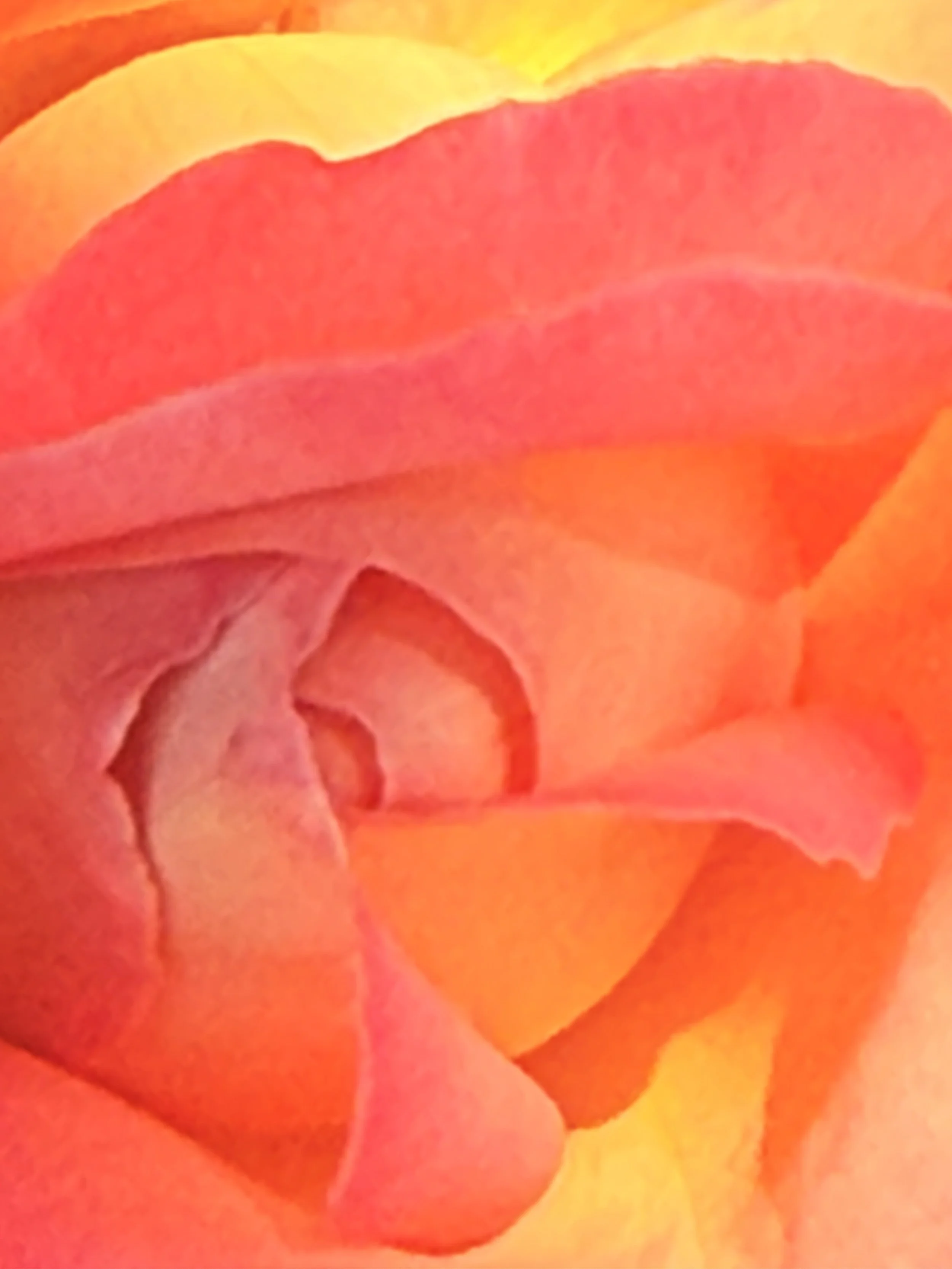IMG_3951.jpeg
