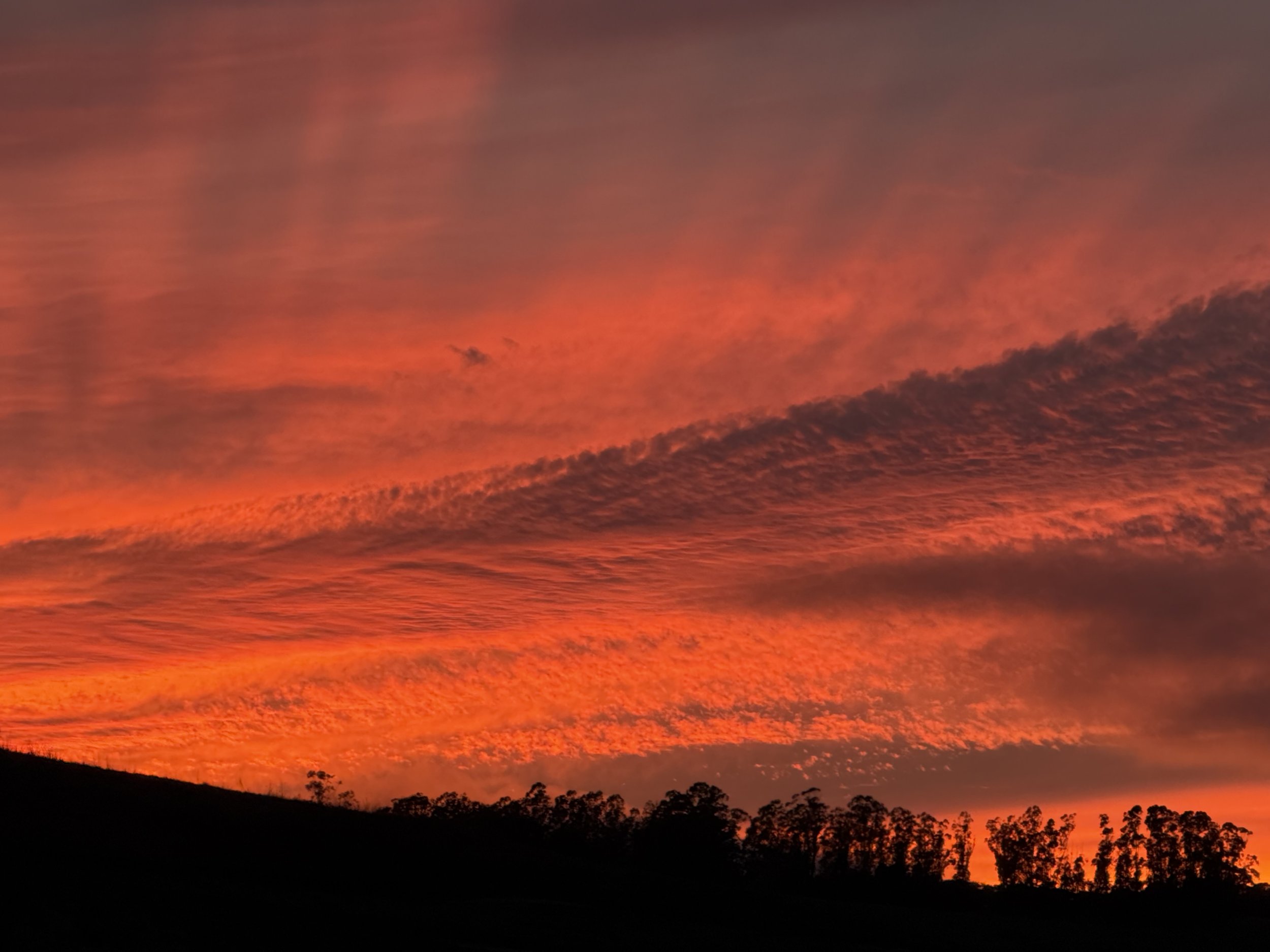 Veiw out my Back Door Fire Sky