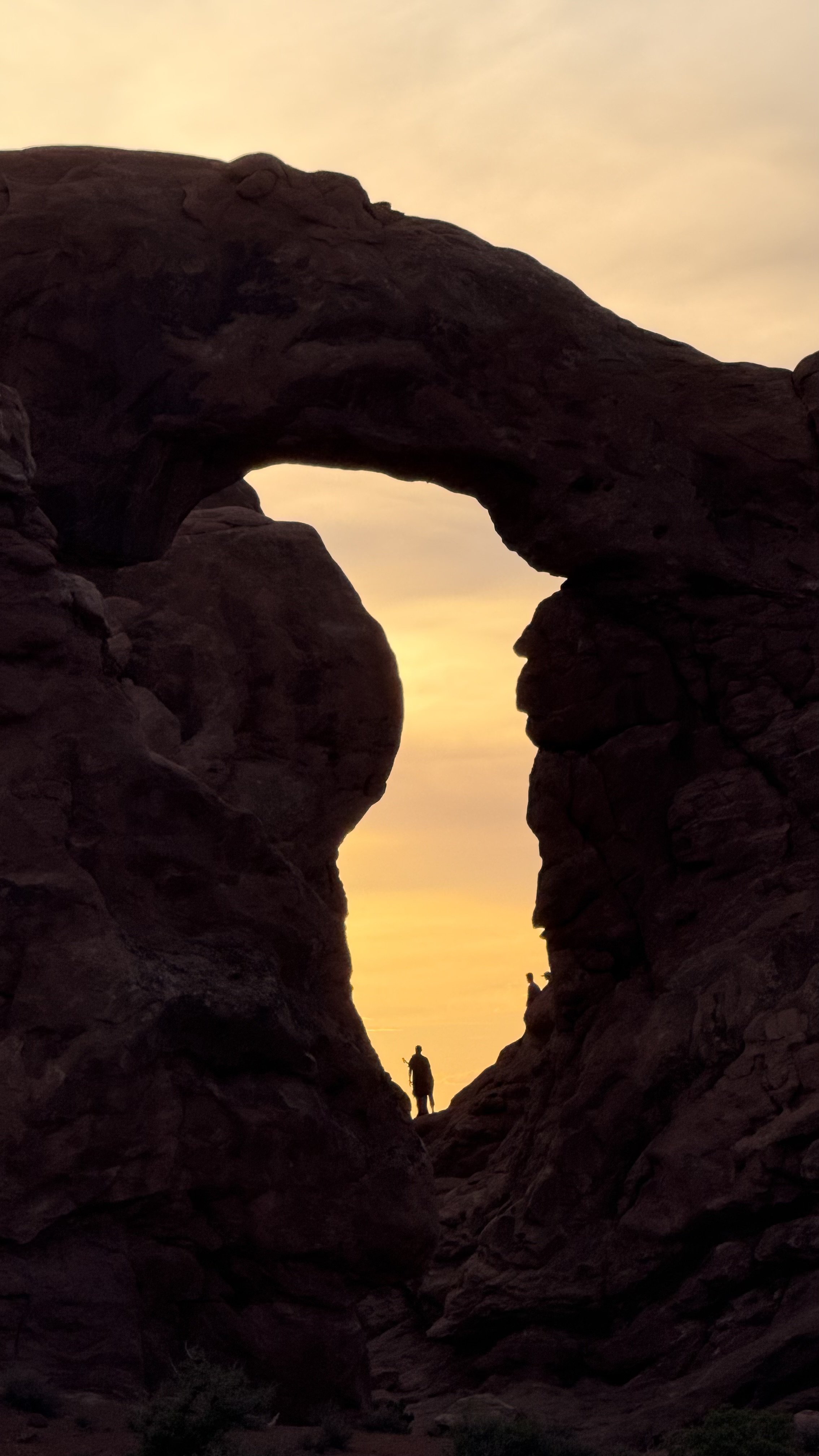 Sundown Silhouette