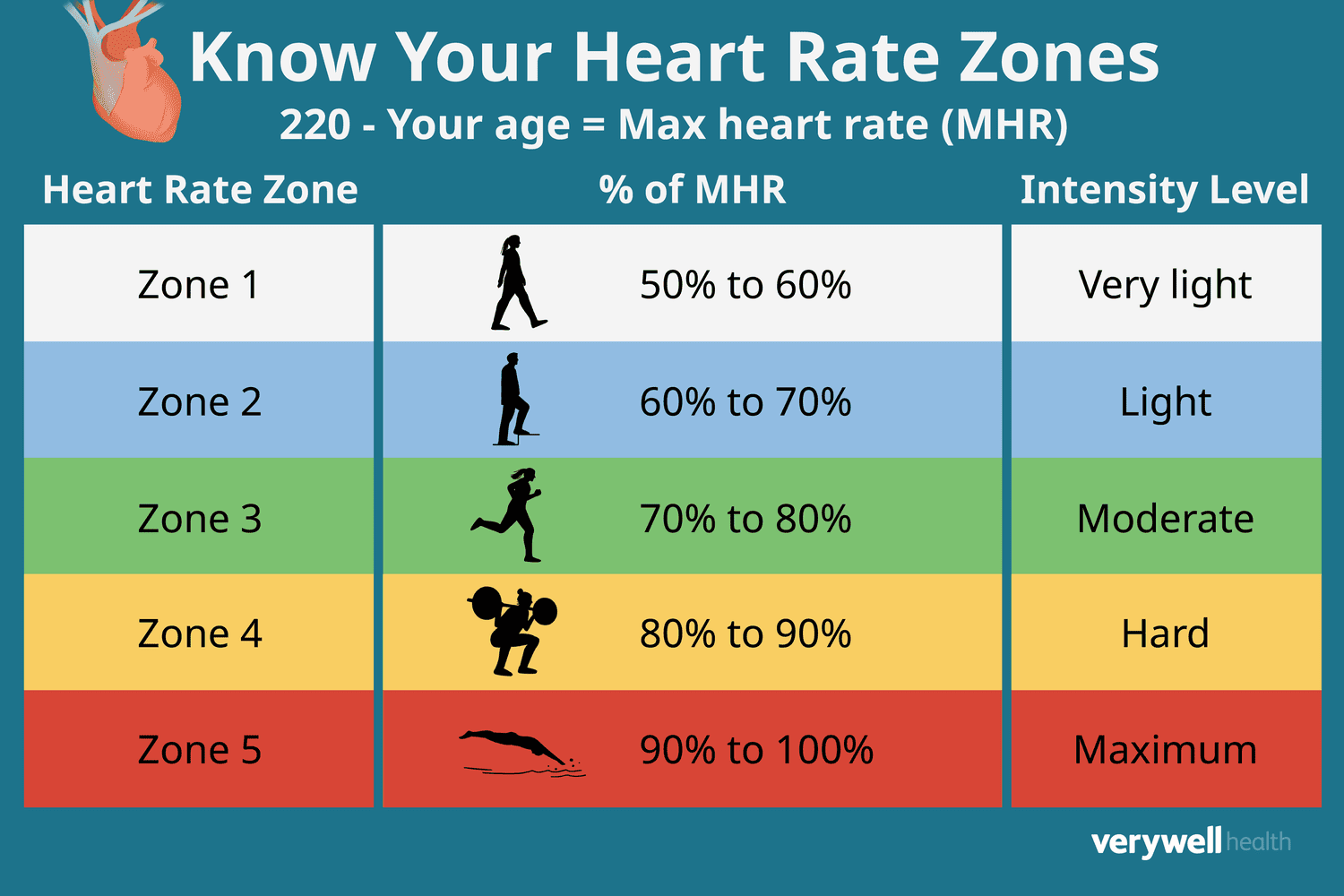 The Zone 2 Obsession: Why You Need an Aerobic Base (And Why the Internet is Overcomplicating It)