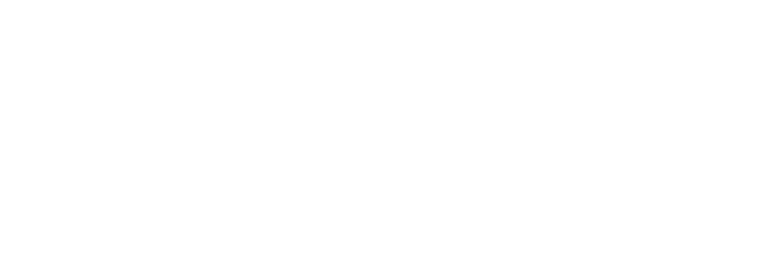 Dynamics Pro Service 365