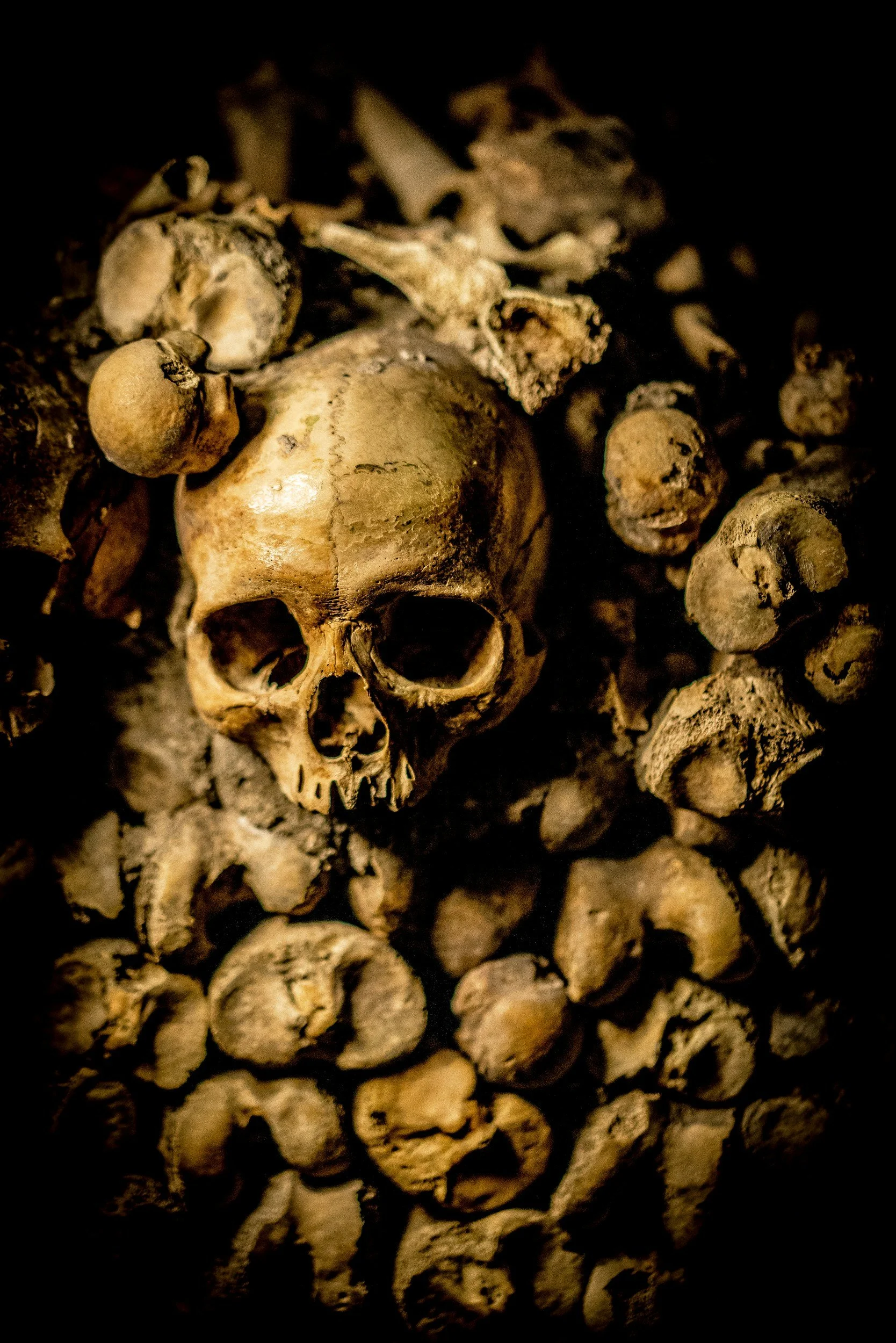 Resurrected Bones - A Sermon for the Second Sunday of Advent December 7 2025