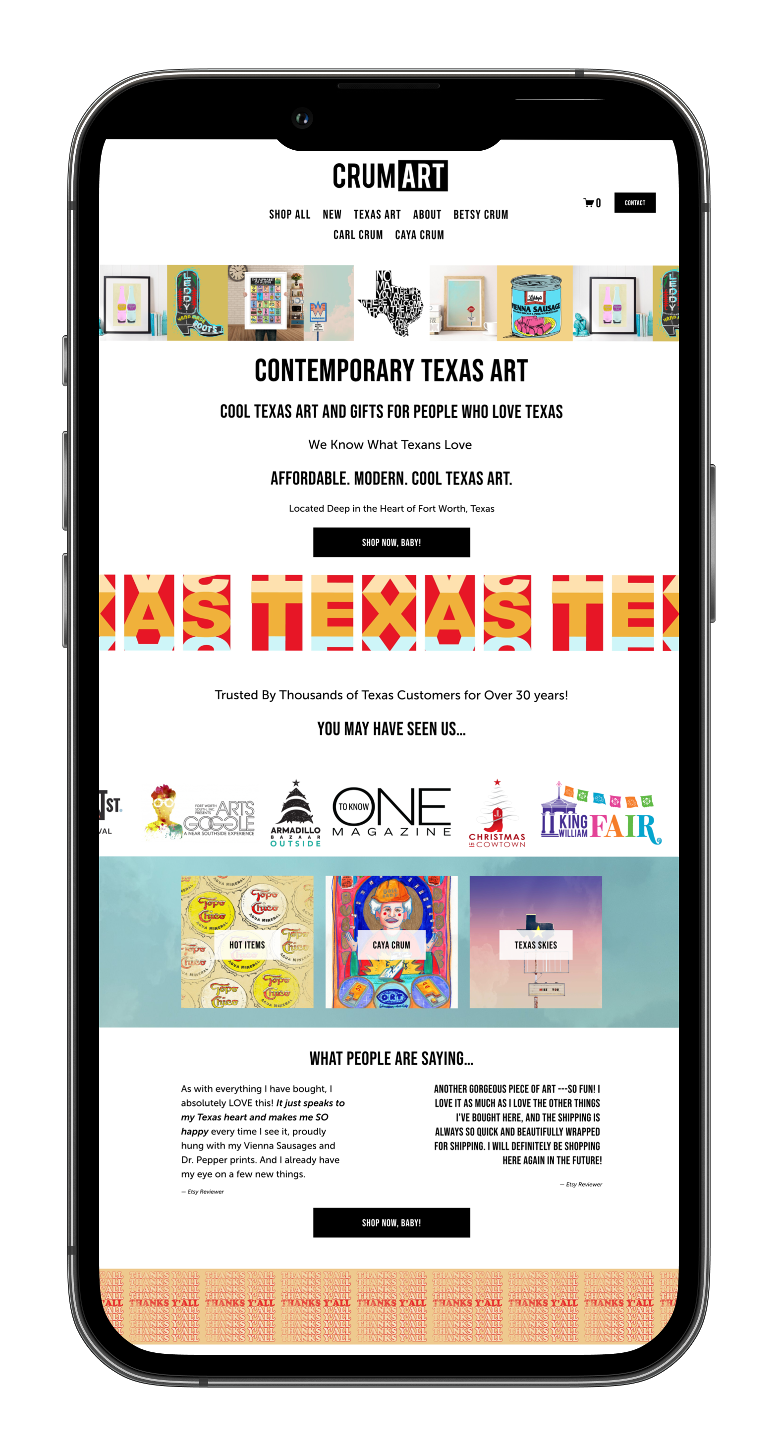 Web Designer Example of Squarespace Commerce Artist Shop