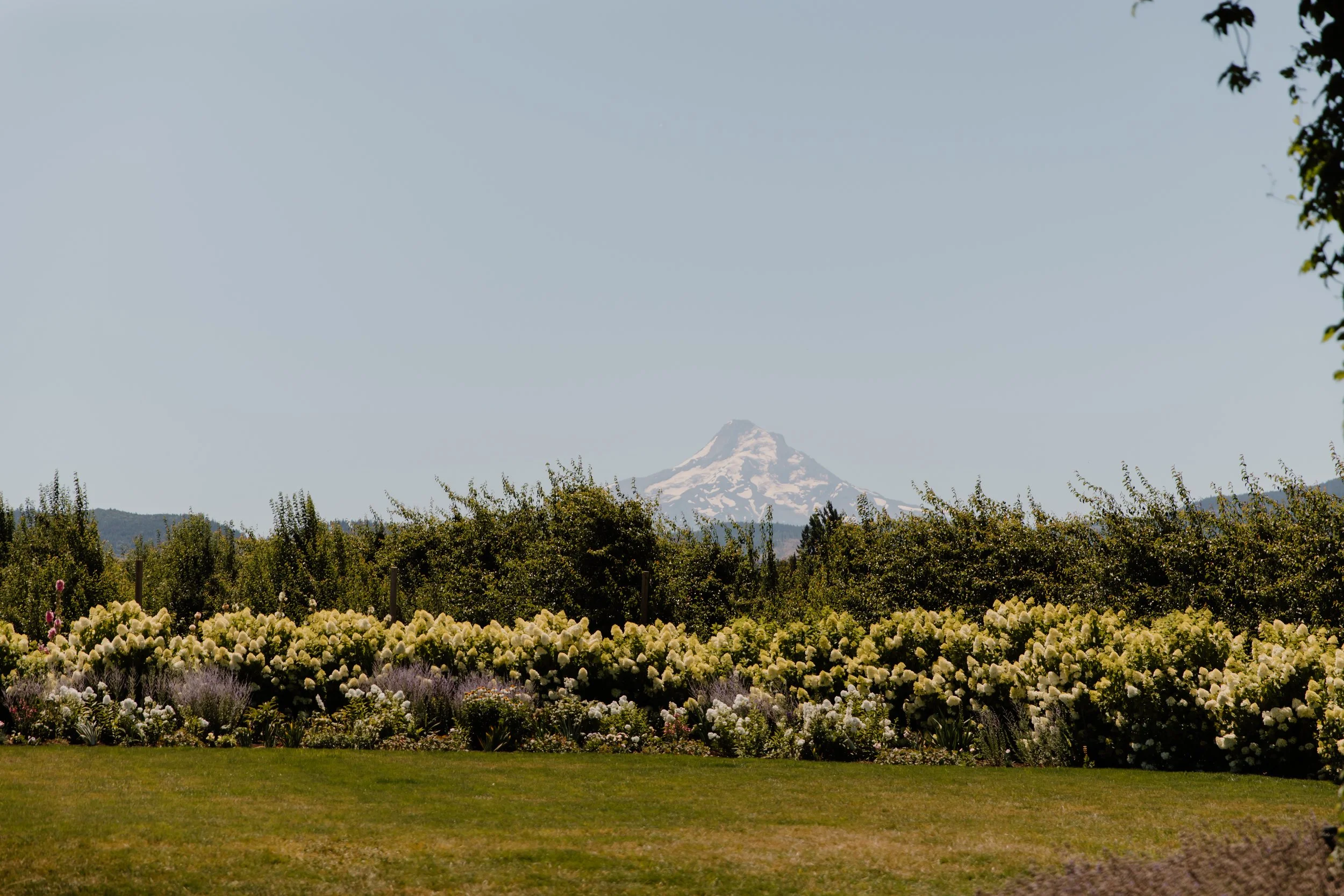 Krysta and Nick Photo and Video - D+C-4.jpg