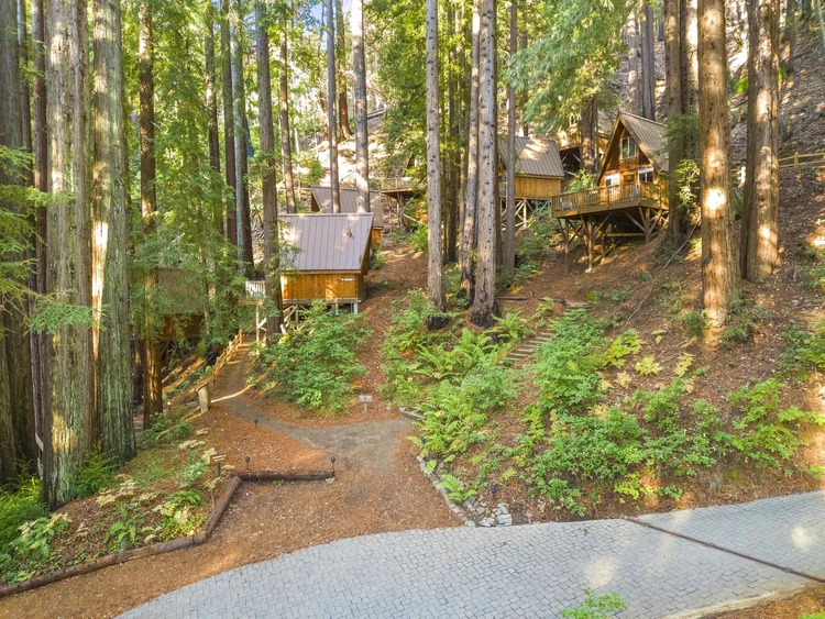 Waterfall Lodge cabins nestled in the redwoods