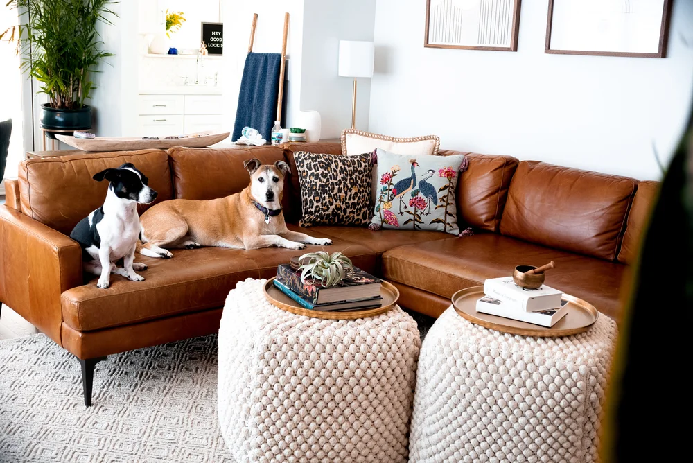 Home Conners Design - Homemade Ftempo