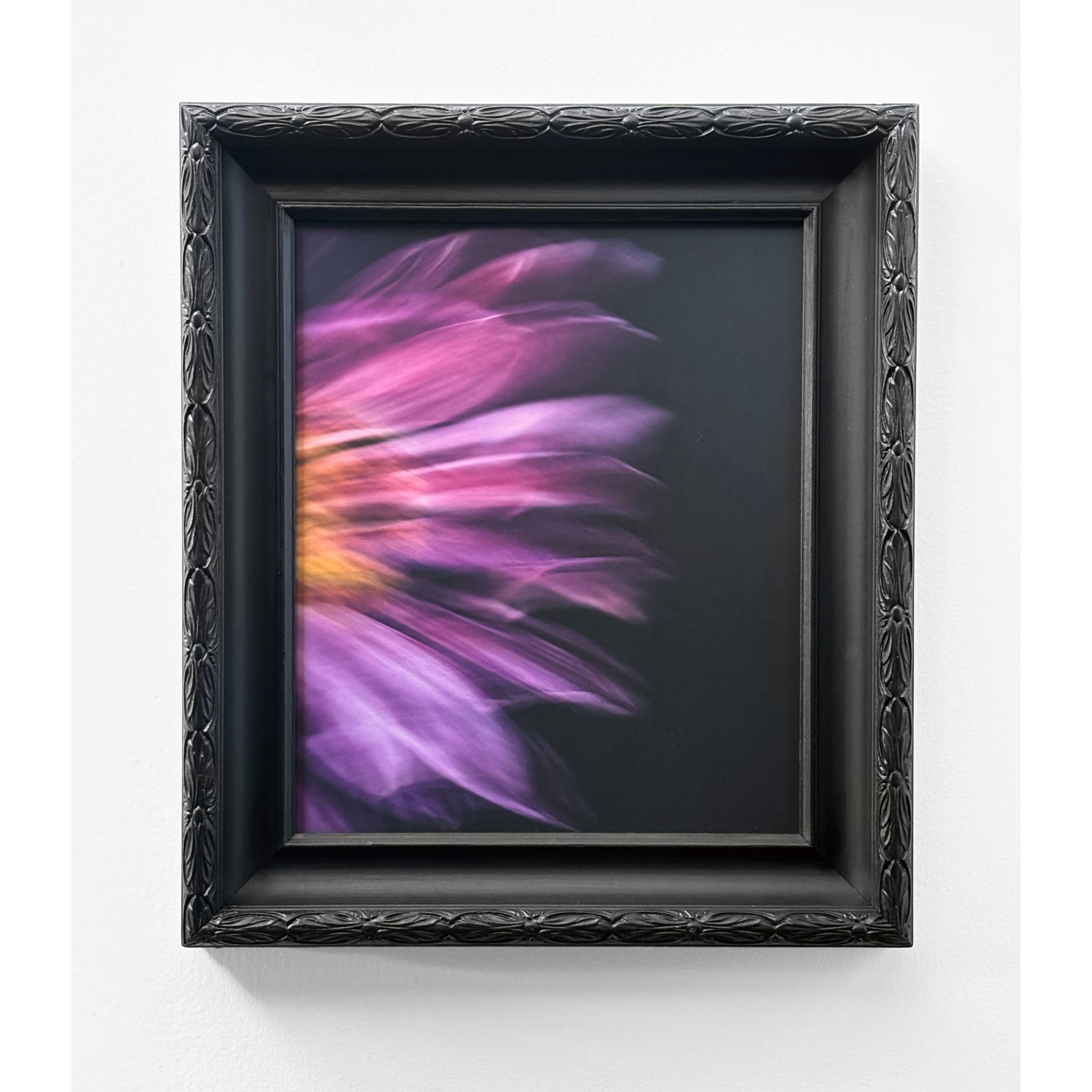 "Floral Escape VI"