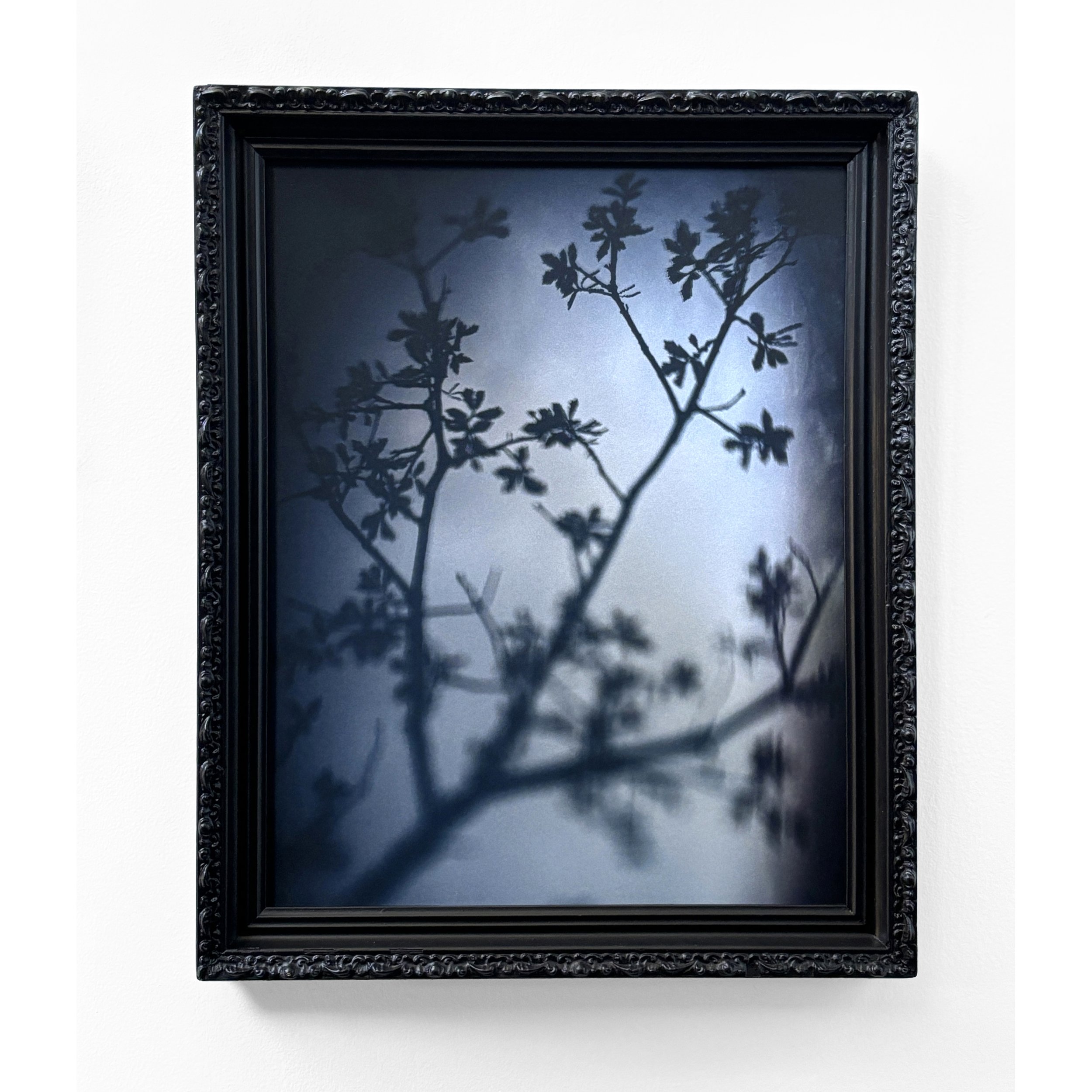 "Imprinted Memory I"