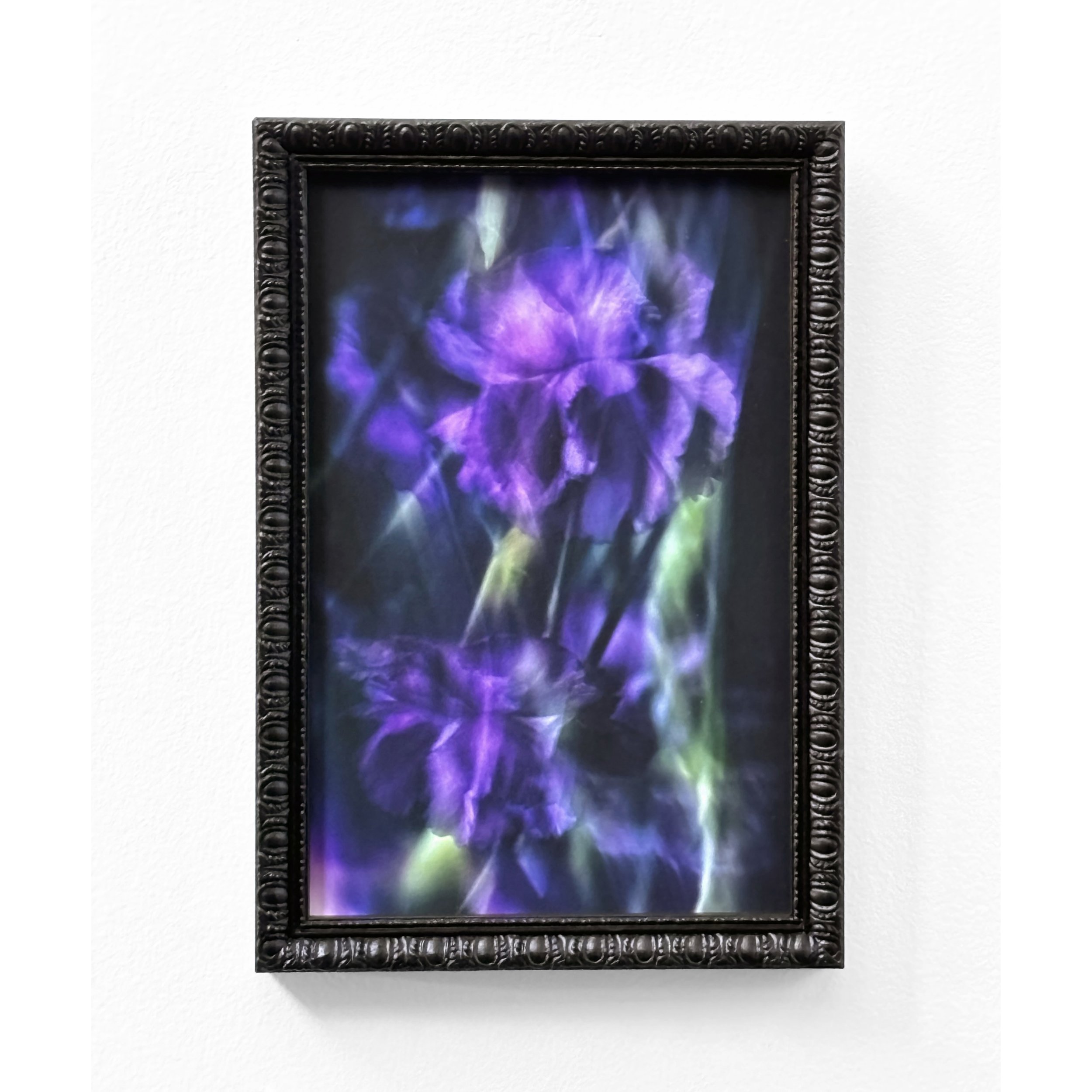 "Floral Vision V"