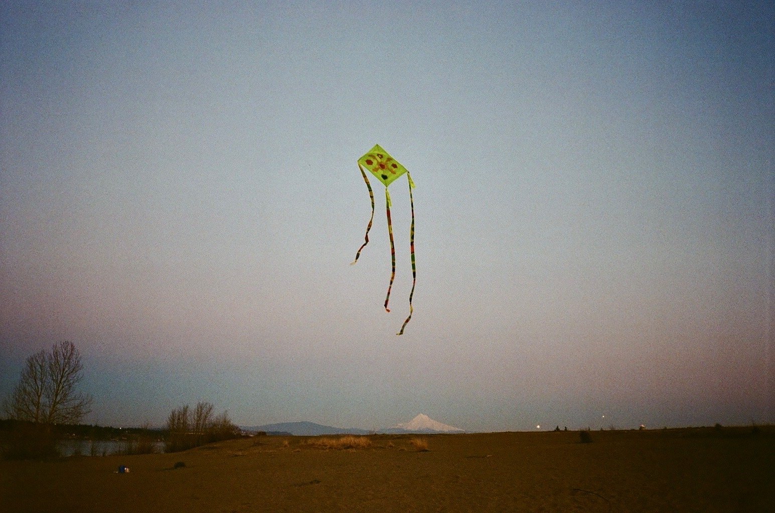 kite
