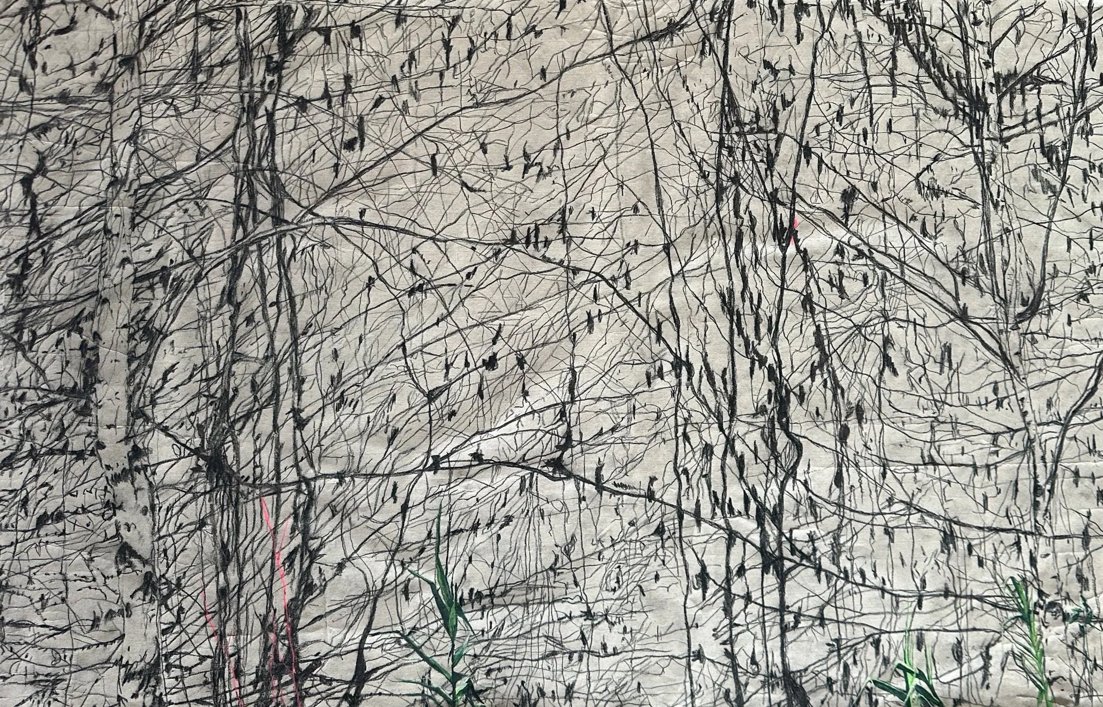 Ivy, charcoal and acrylic on paper, 2026