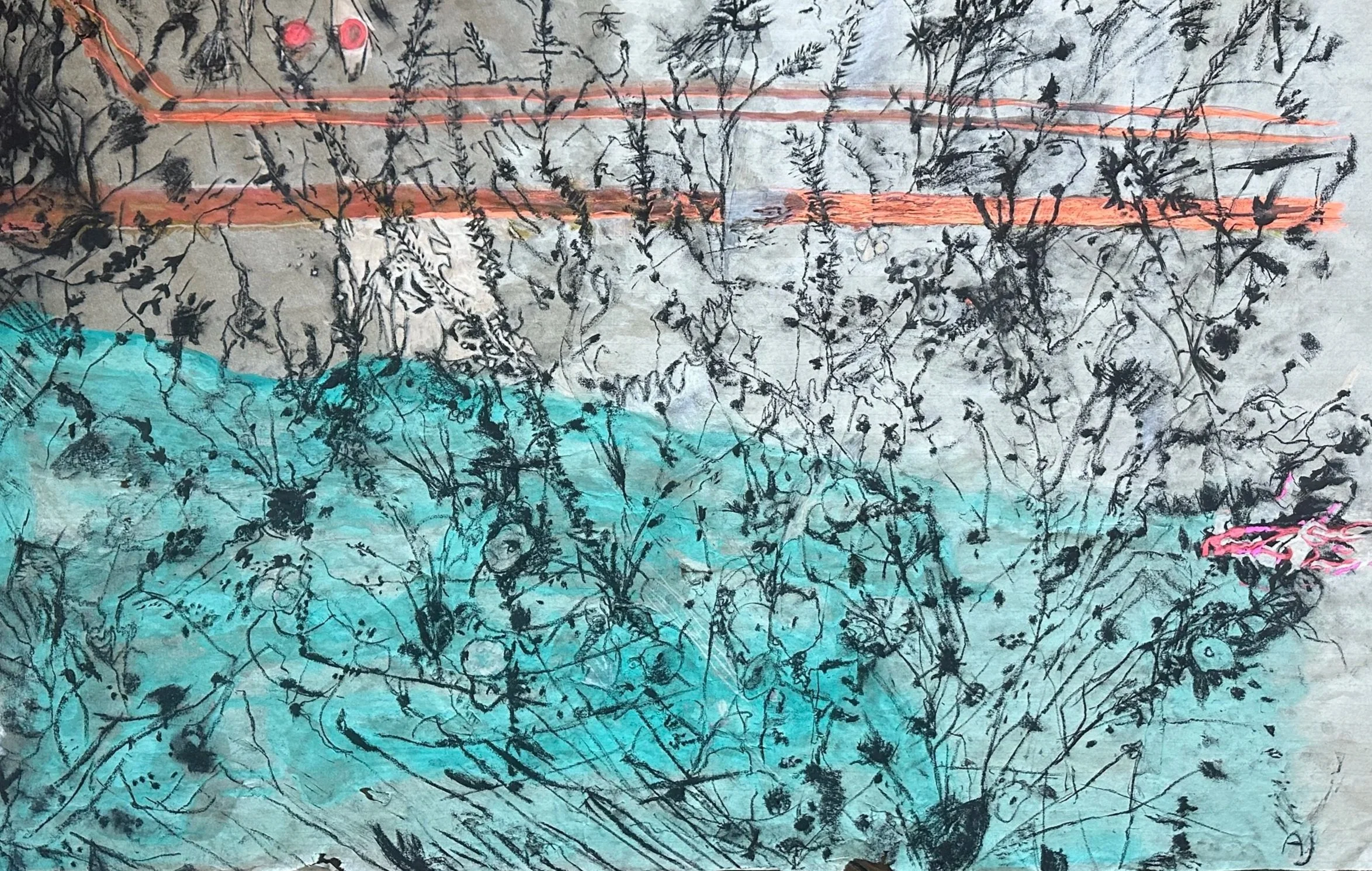 Poppies, charcoal and acrylic on paper, 2026