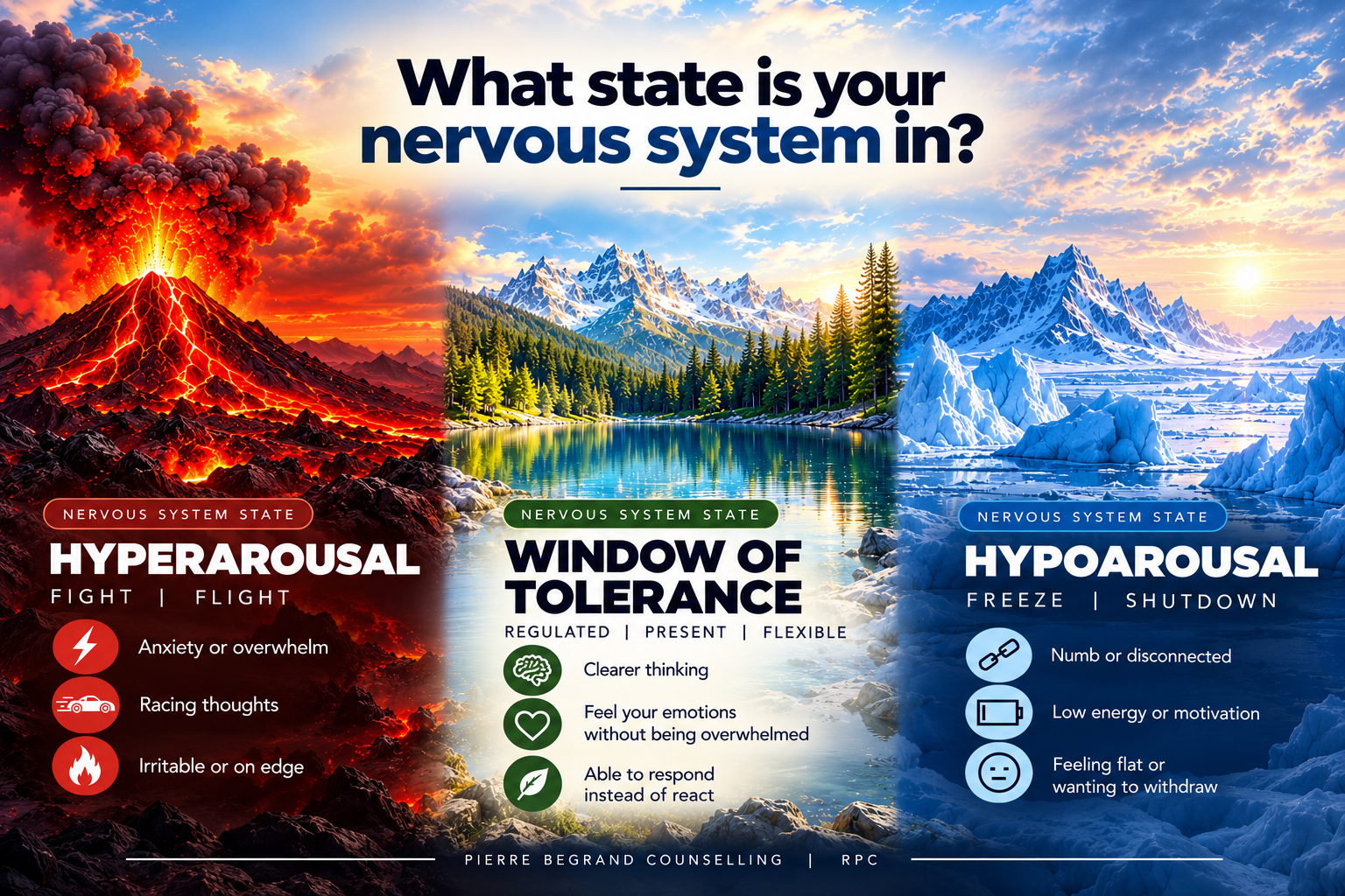 🧠 What State Is Your Nervous System In? Understanding the Window of Tolerance