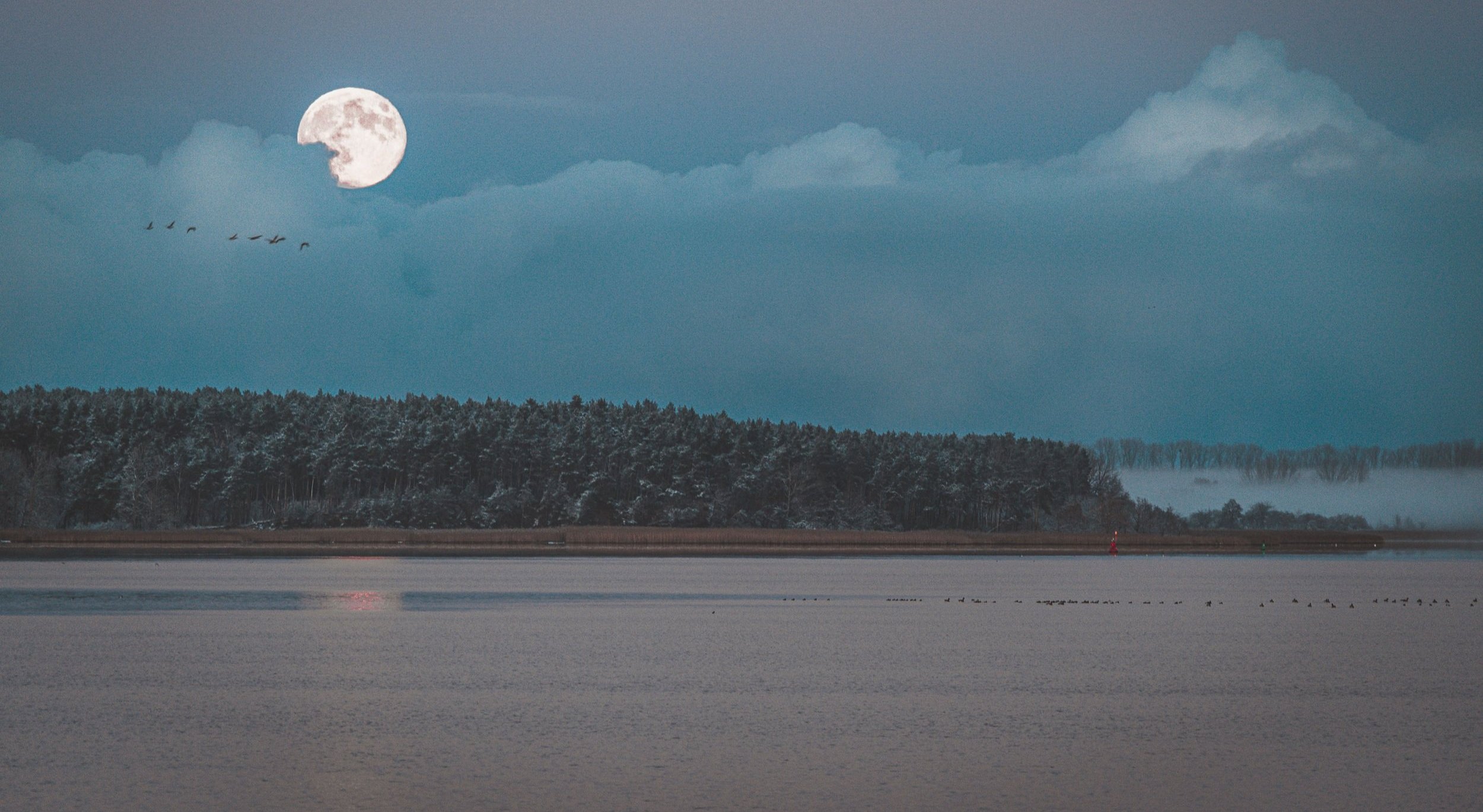moon.jpg