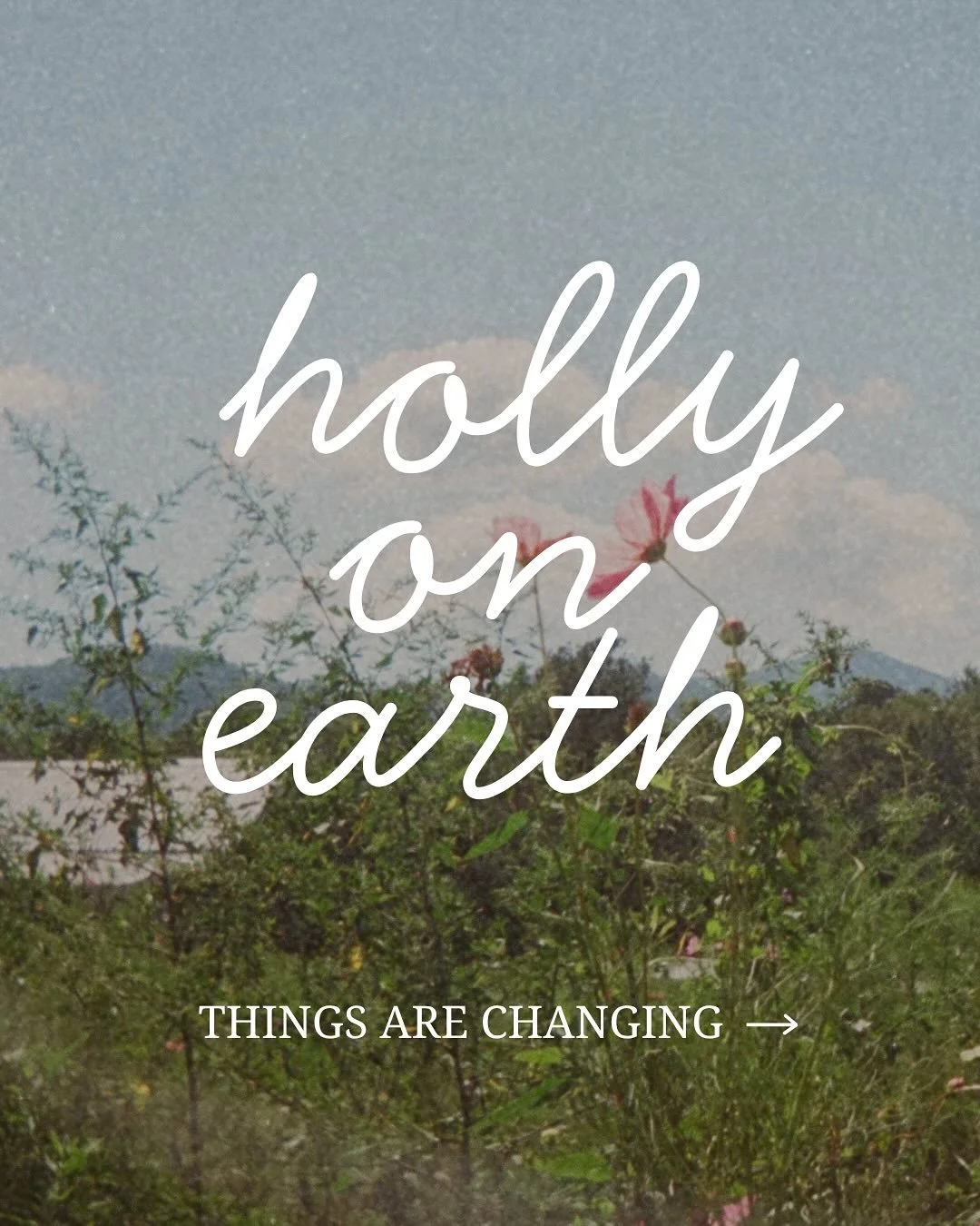 I have so much gratitude for the last 4 years as a virtual assistant.

They taught me how to run a business, support others, and connected me to the most wonderful humans that have taught me even more.

And while working for myself in this capacity i