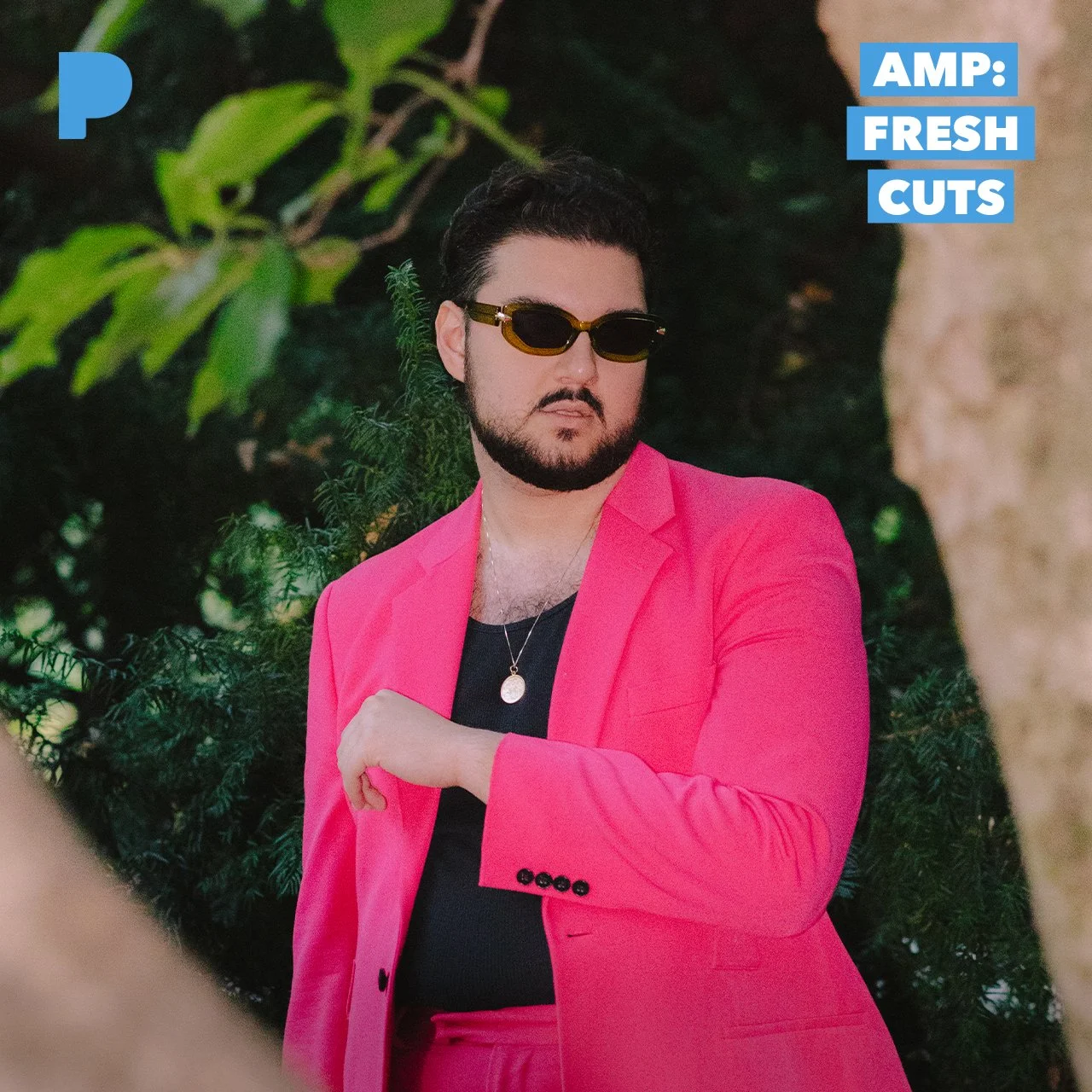 Nicki Sekhar featured on Pandora AMP Radio