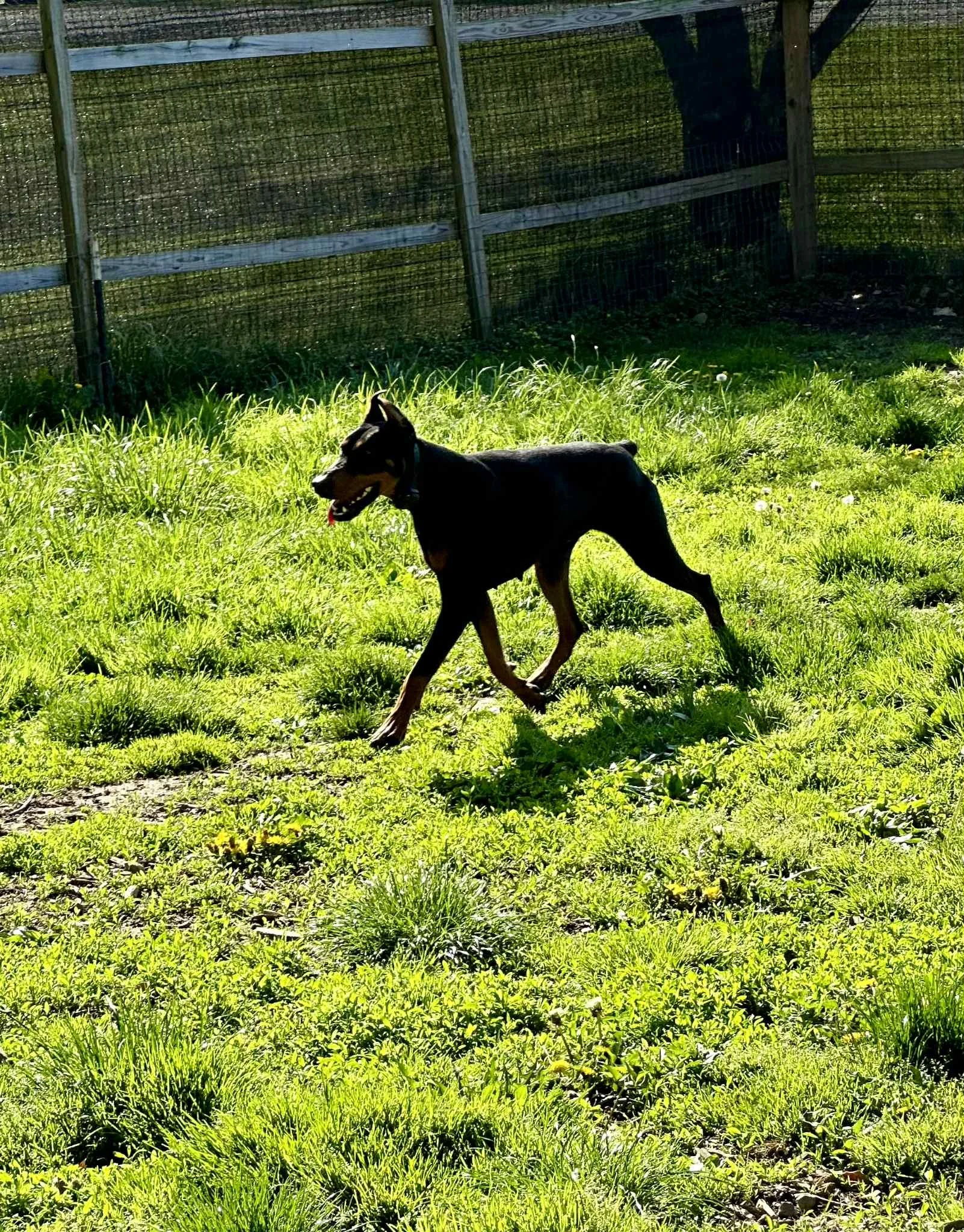 2f8c13e8-2567-478c-8c9d-3df31aa75dde.jpg