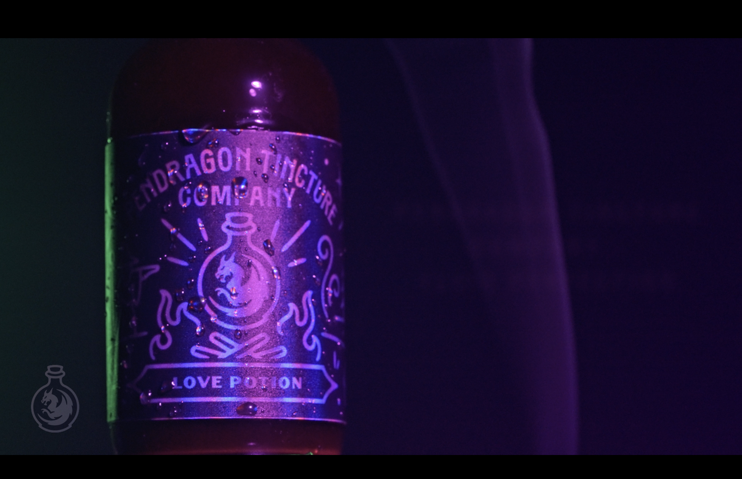 Screenshot 2026-02-23 at 10.38.20 AM.png