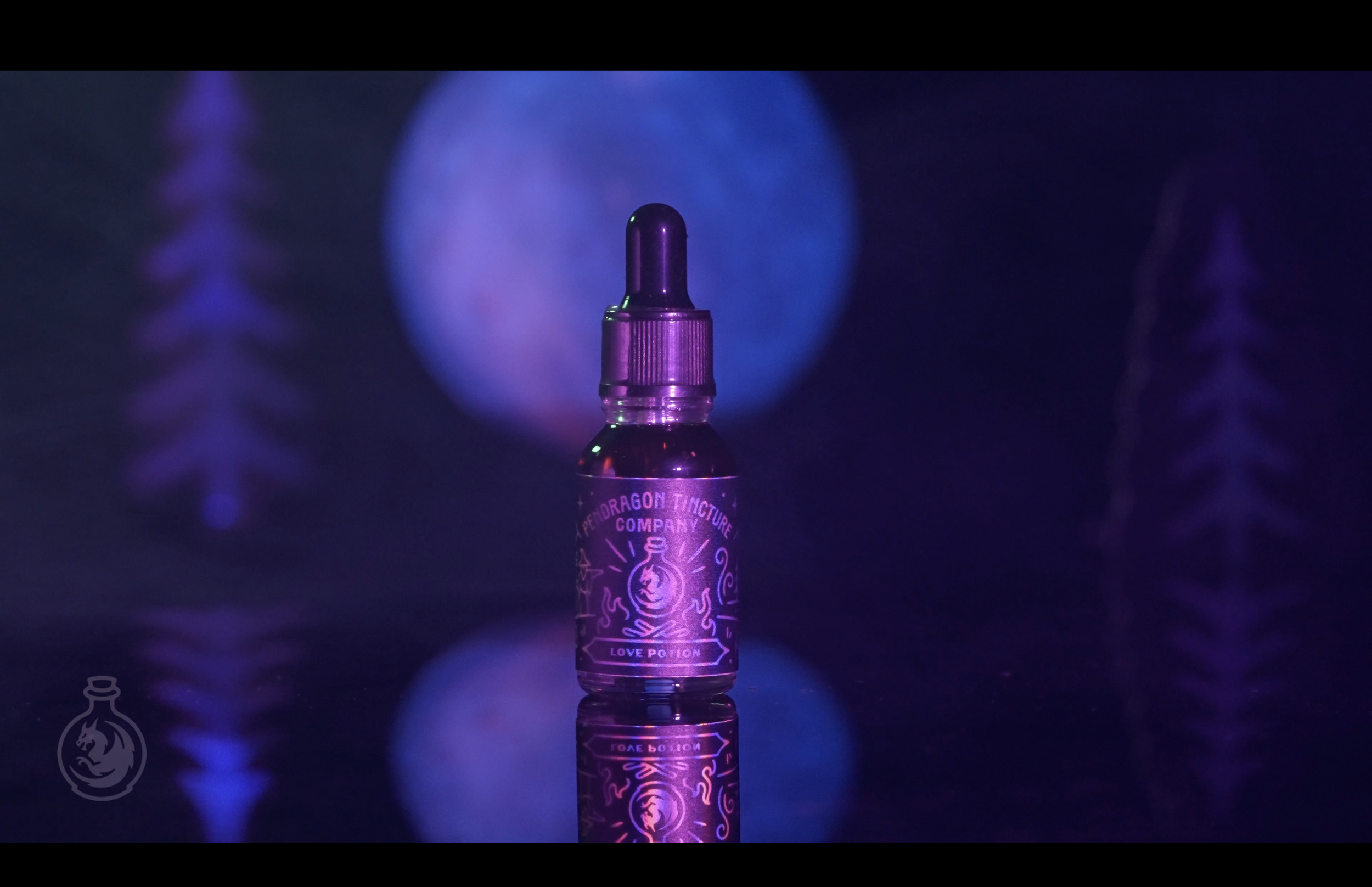 Screenshot 2026-02-23 at 10.38.05 AM.png