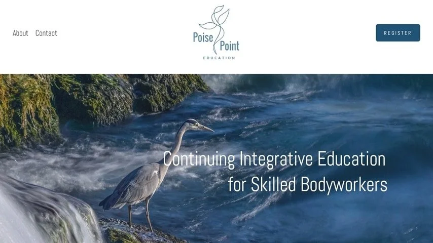 Manual Therapy Education Website Design + Branding