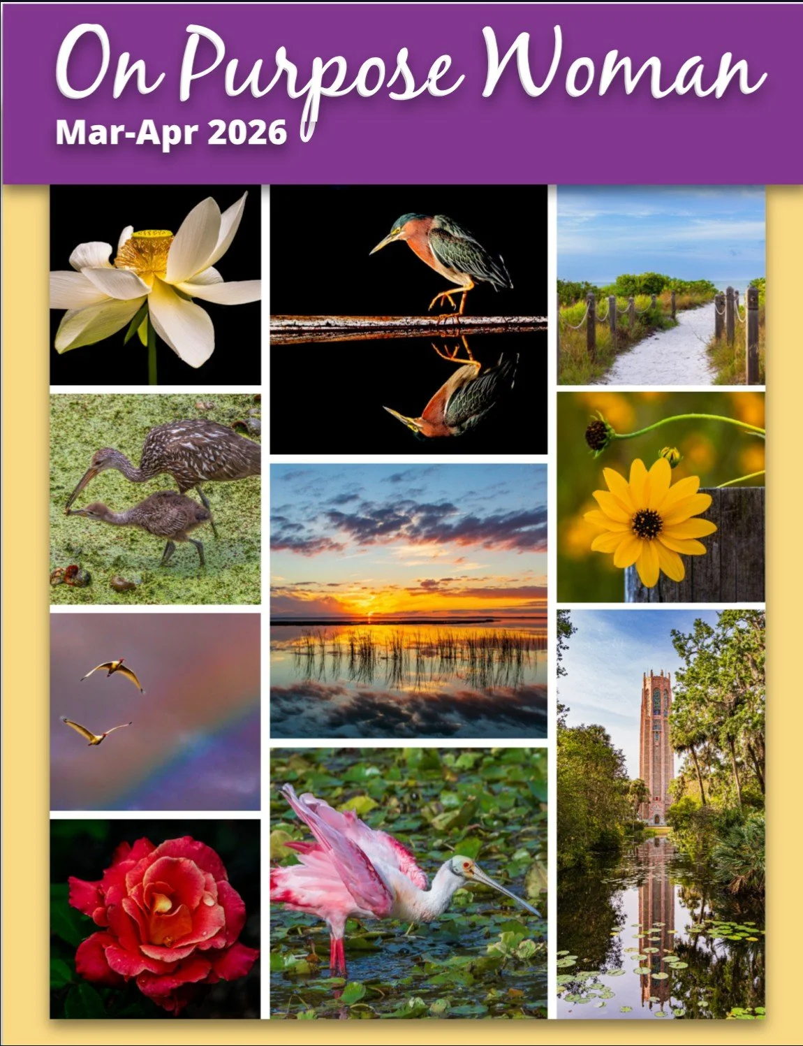 Common Website Design Mistakes